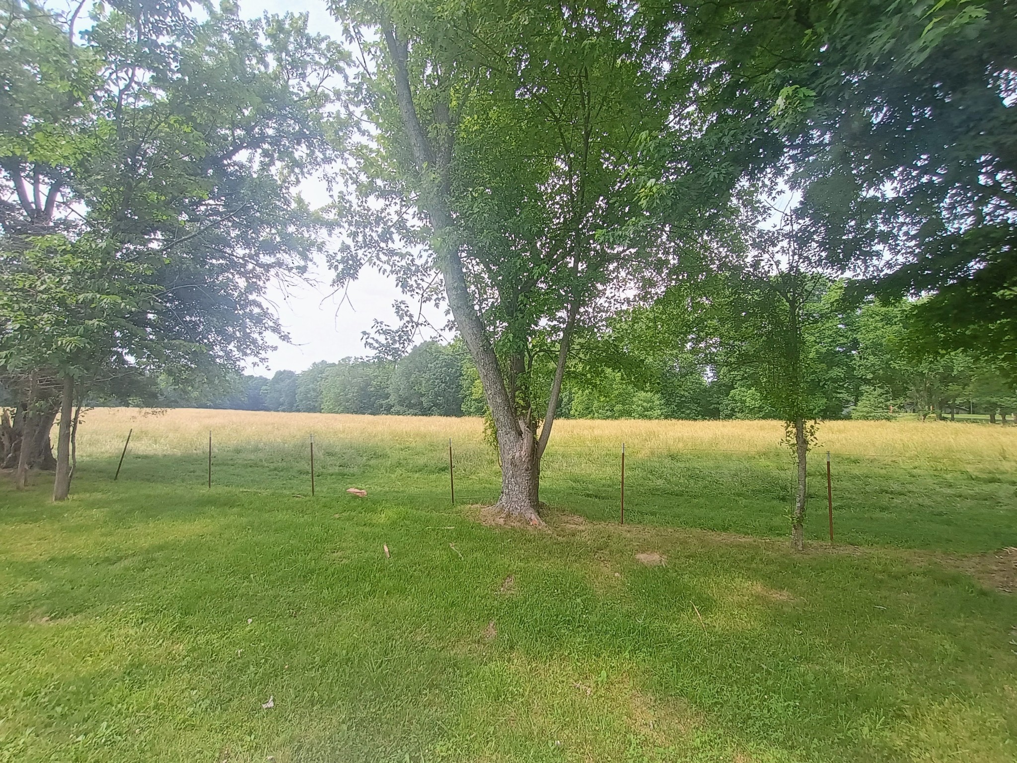 657 Chaffin Rd Property Photo 22