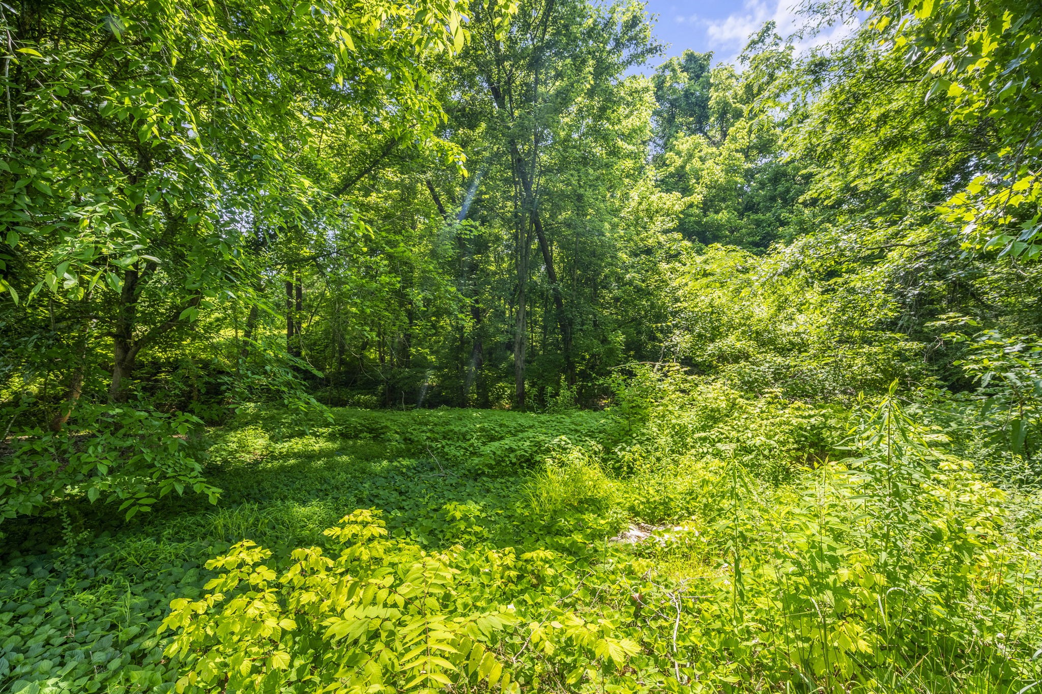 1189 Leo Baker Rd Property Photo 33