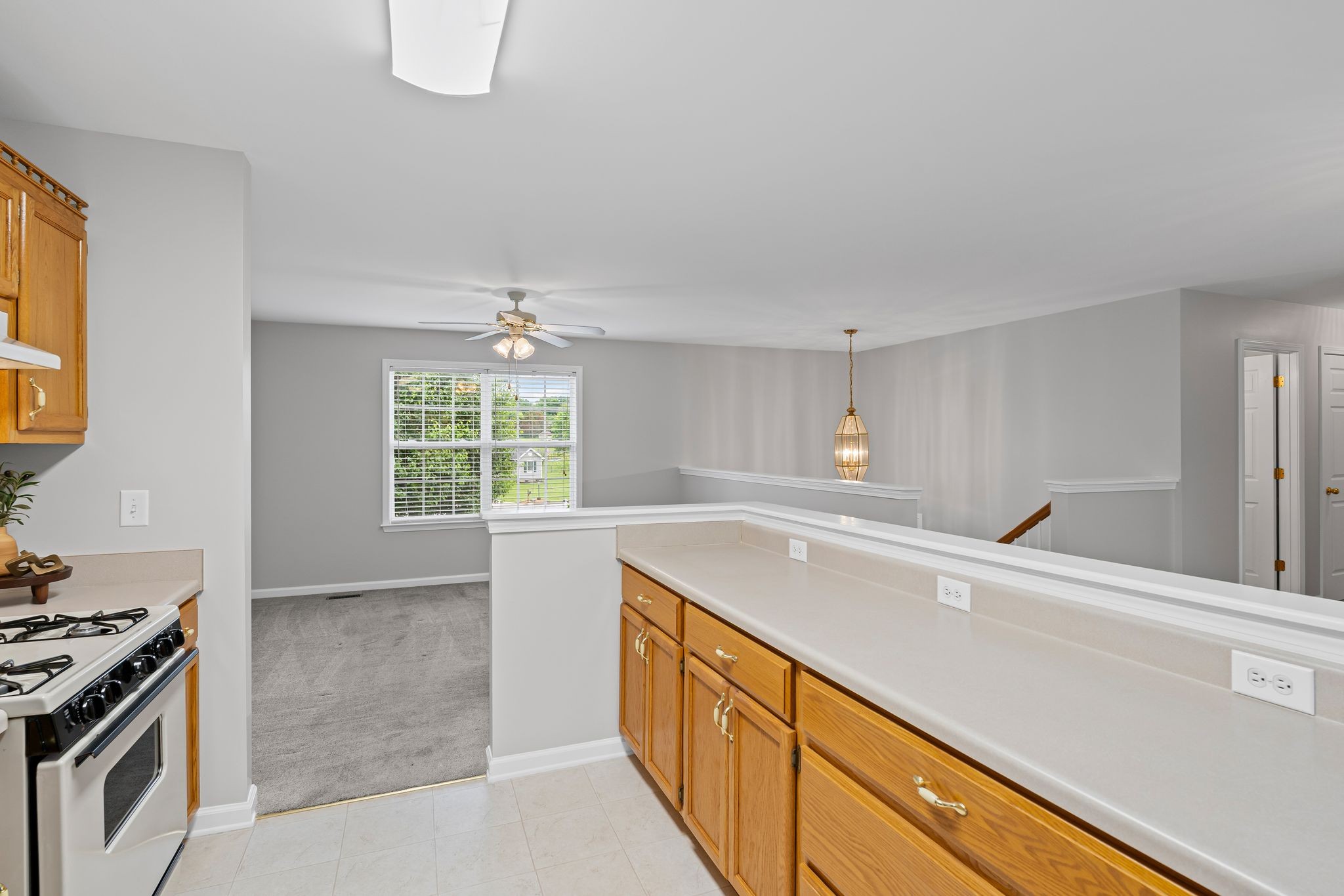 520 White Oak Trl Property Photo 11