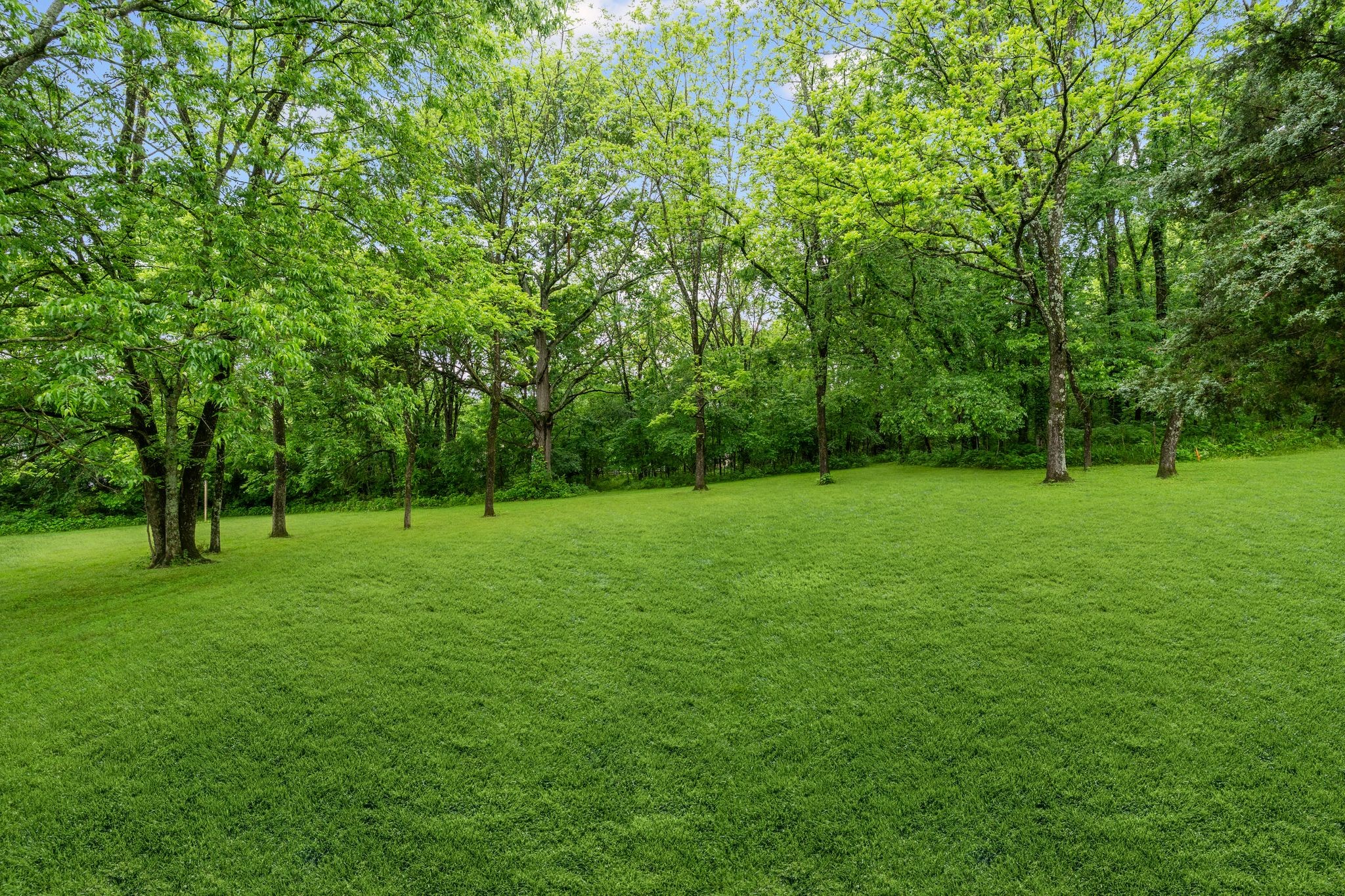 520 White Oak Trl Property Photo 29