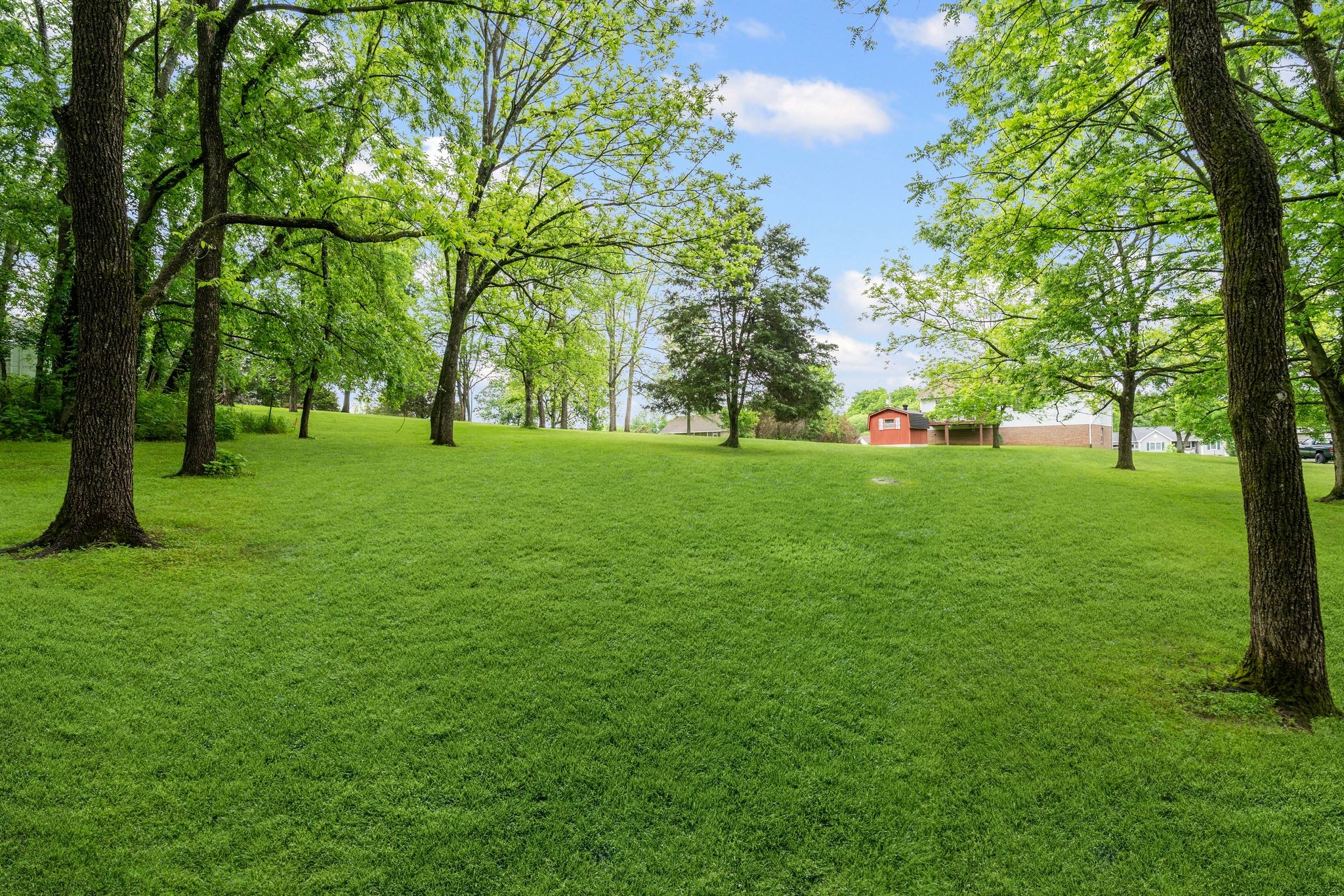520 White Oak Trl Property Photo 30