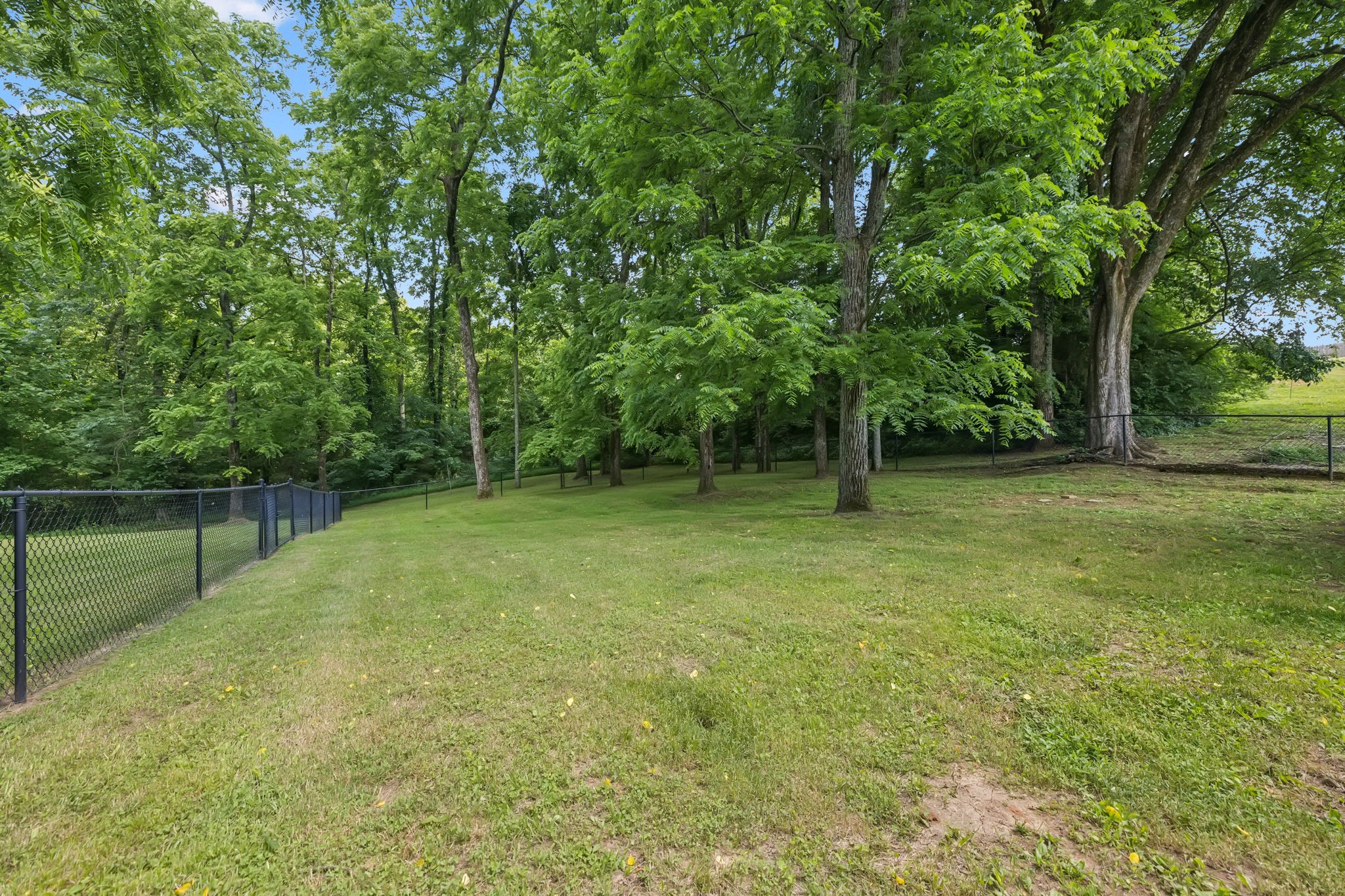 2408 Cantor Way Property Photo 40