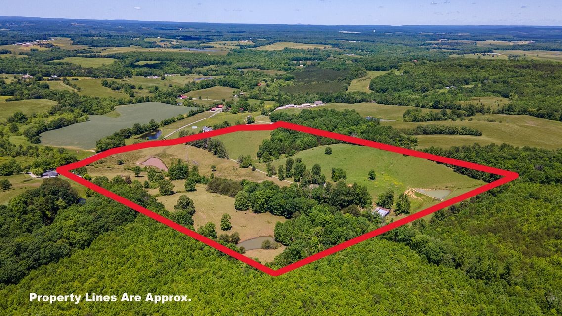 2216 Cove Hill Rd Property Photo 36