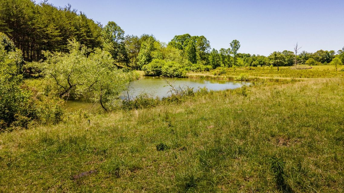 2216 Cove Hill Rd Property Photo 54