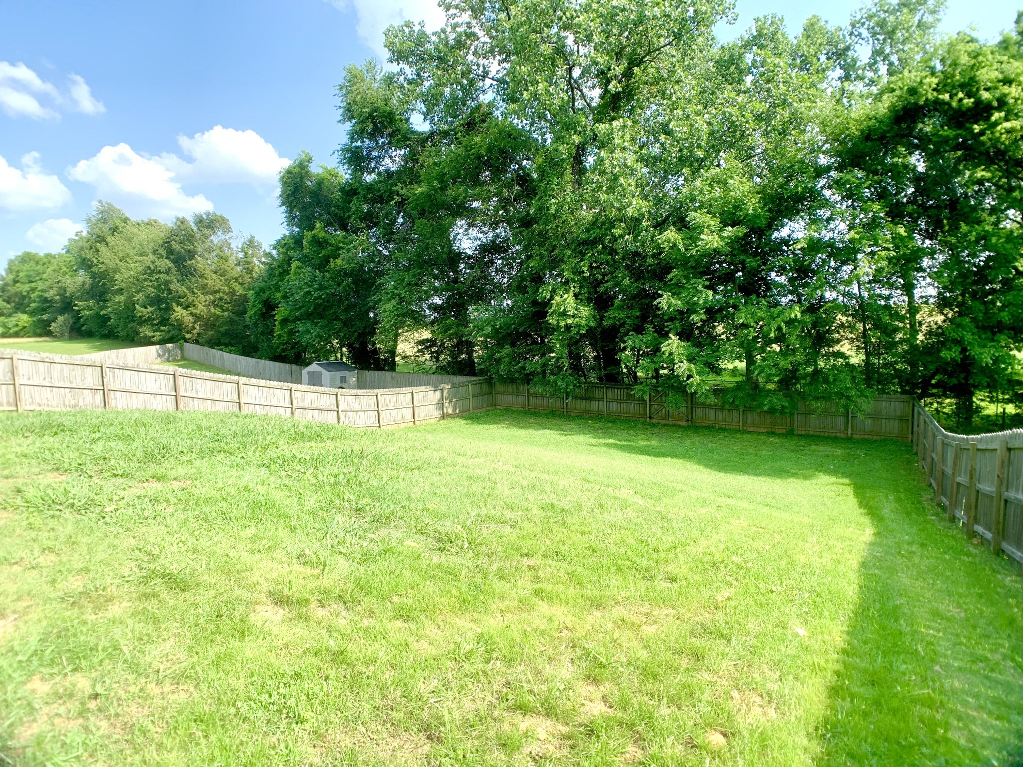 2925 Mcmanus Cir Property Photo 38