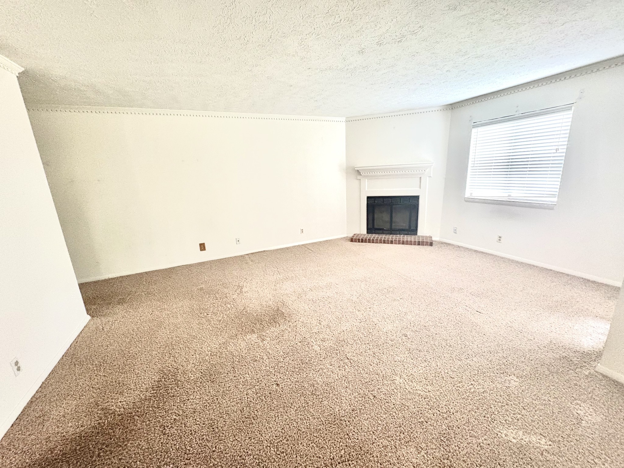 5324 Edmonson Pike Property Photo 5