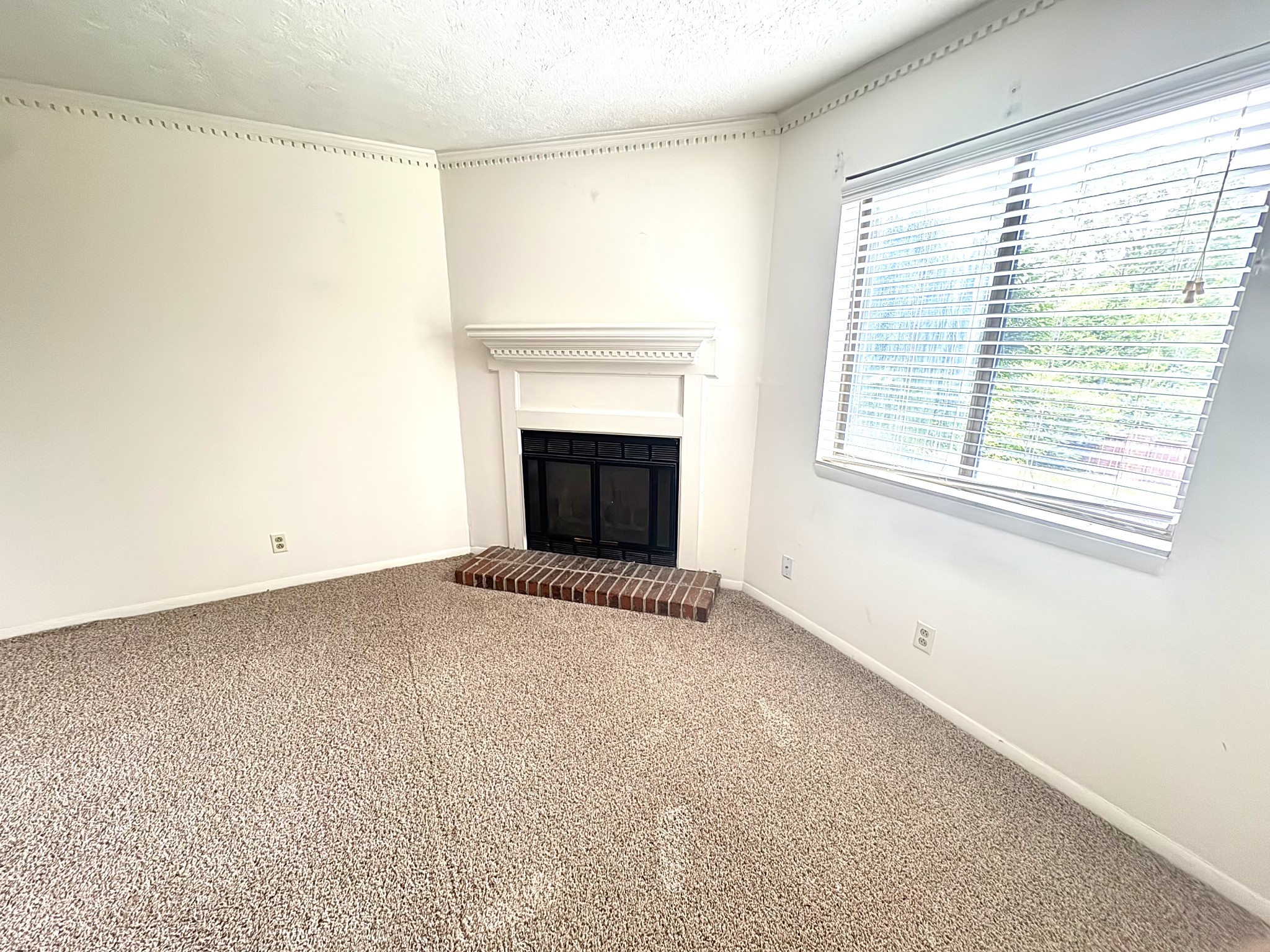 5324 Edmonson Pike Property Photo 6