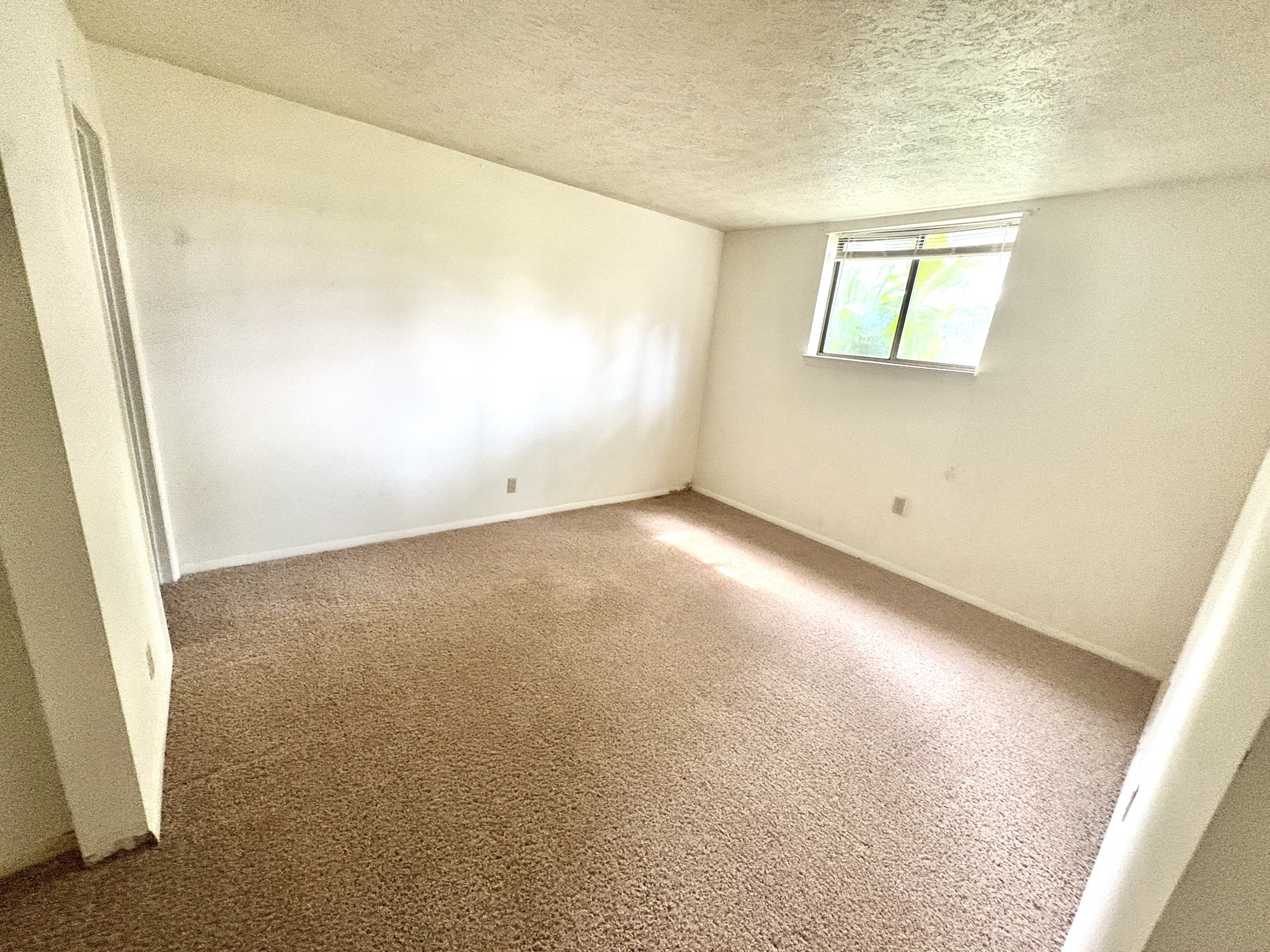 5324 Edmonson Pike Property Photo 20