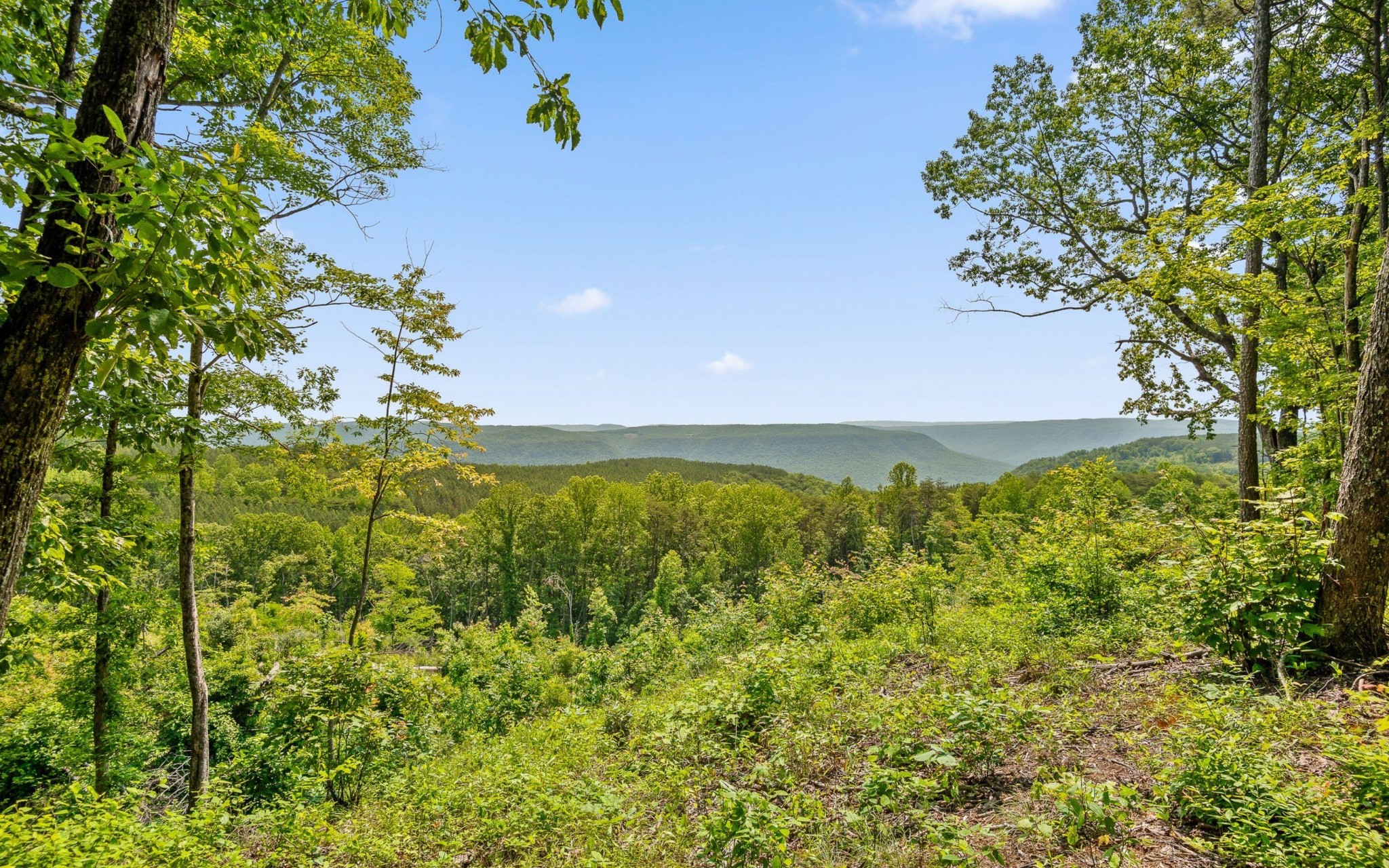 2222 High Ground Road Property Photo 1
