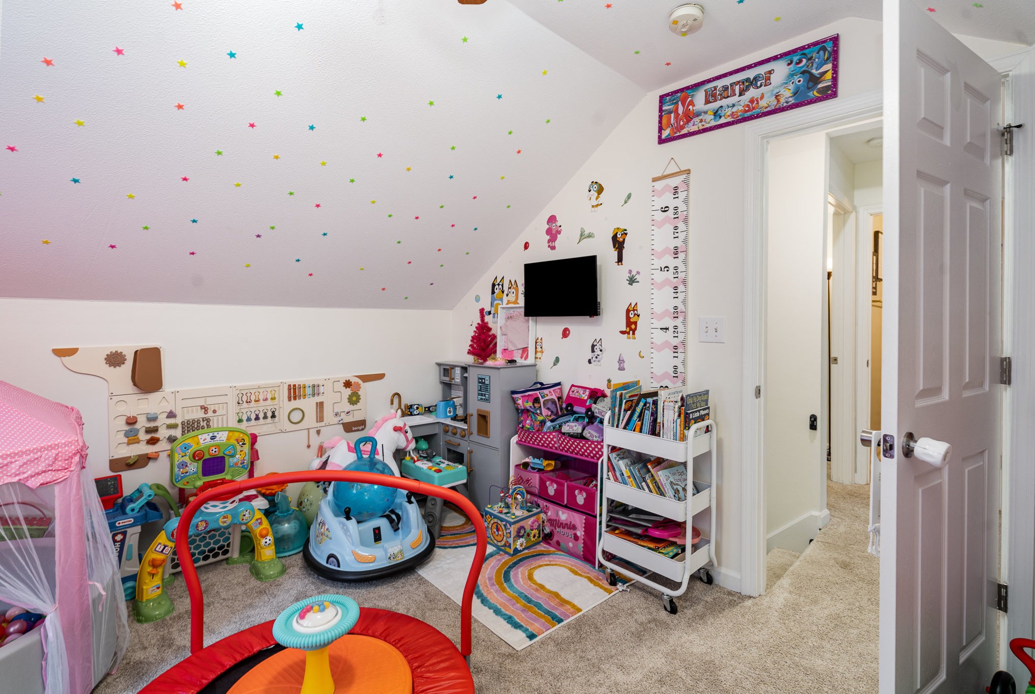1077 Gunpoint Dr Property Photo 16