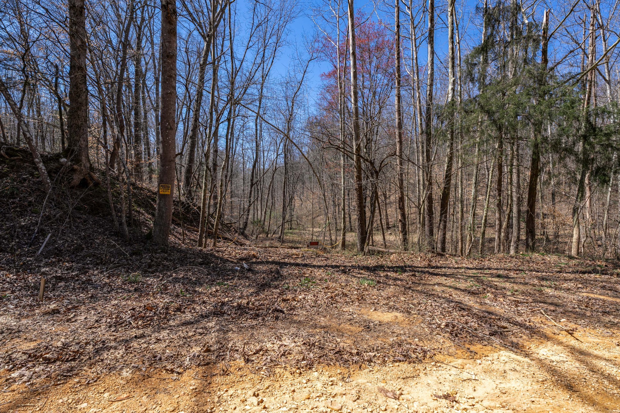 6720 Parker Rd Property Photo 34