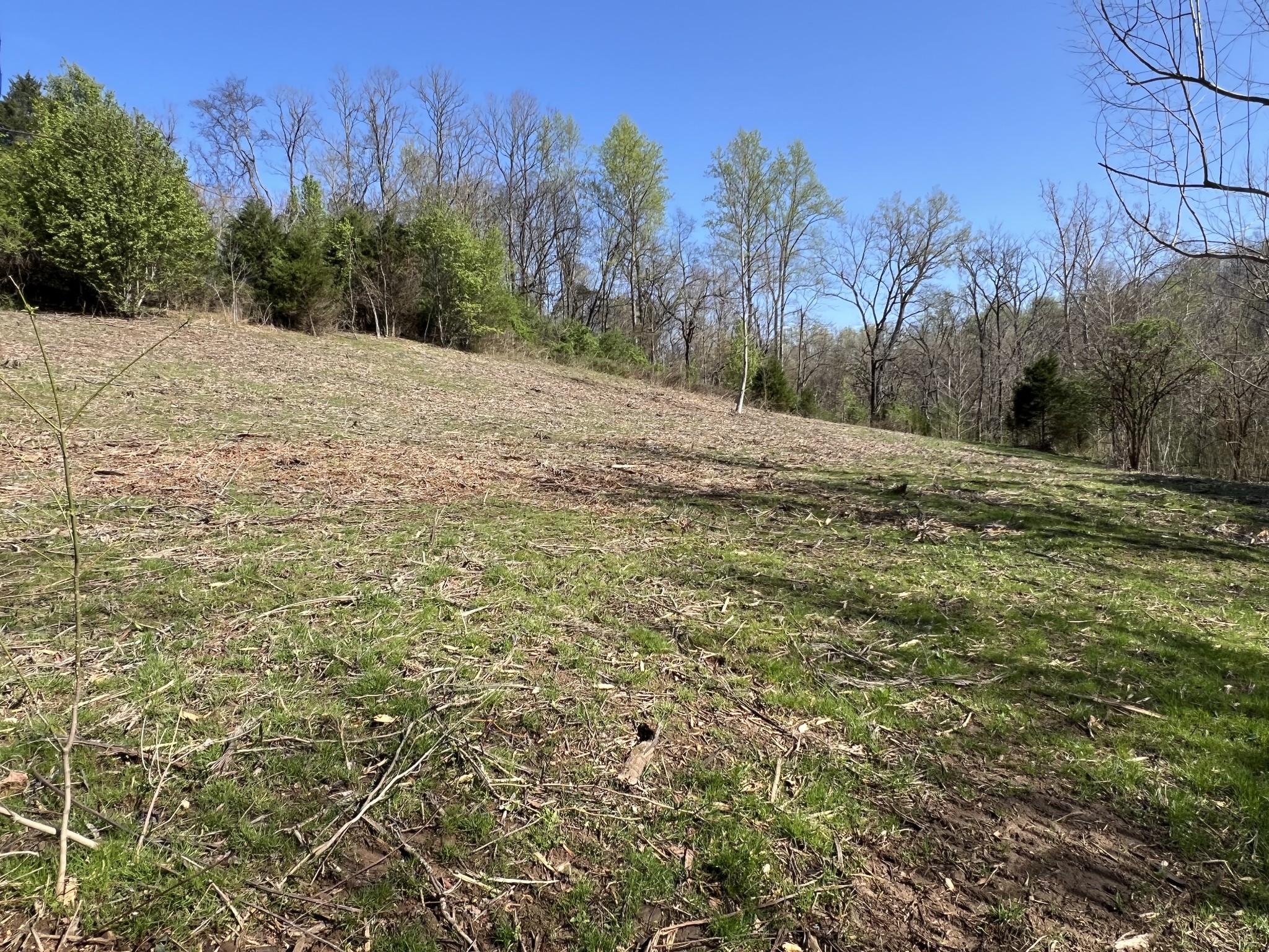 0 Old Lake Rd Property Photo