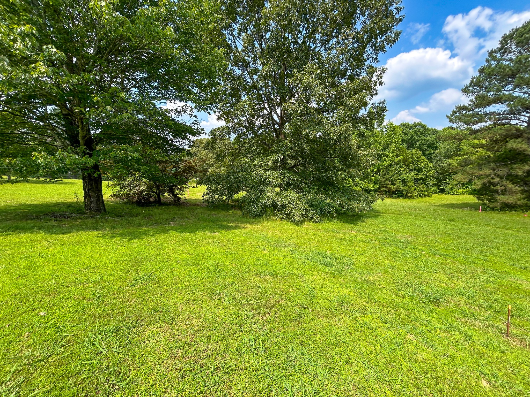 156 Davis Kee Rd Property Photo 5