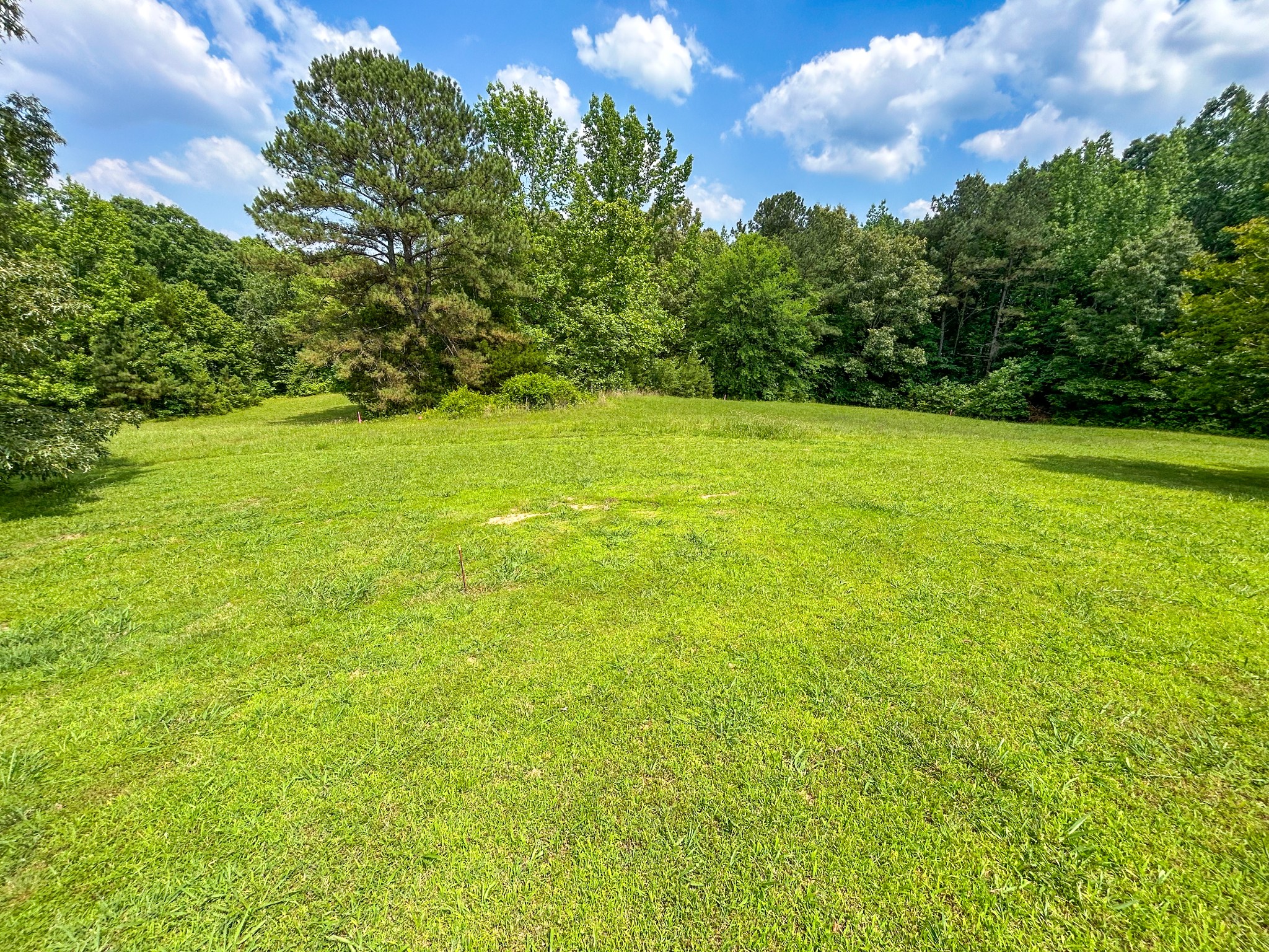 156 Davis Kee Rd Property Photo 6