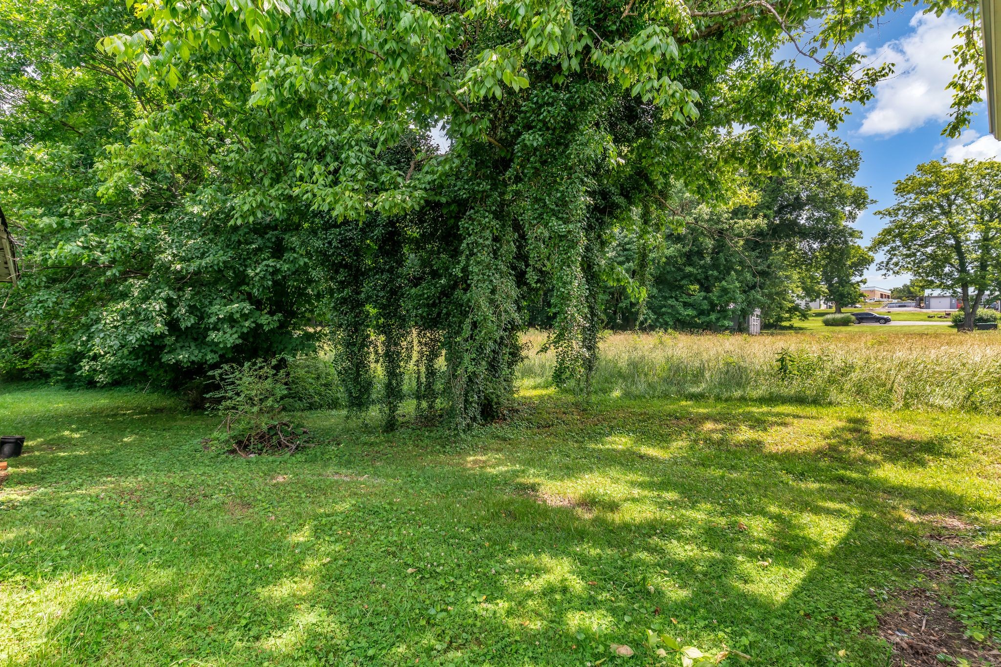 2509 Epperson Springs Rd Property Photo 25