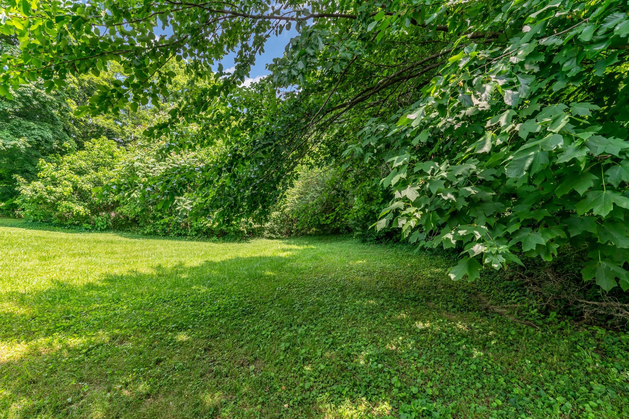 2509 Epperson Springs Rd Property Photo 27