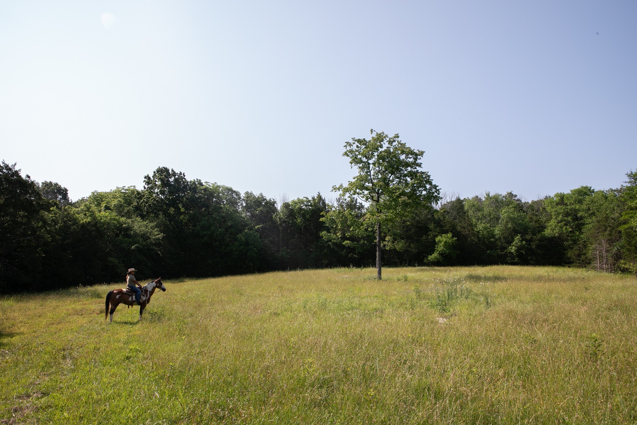 2825 Oregon Road Property Photo 22
