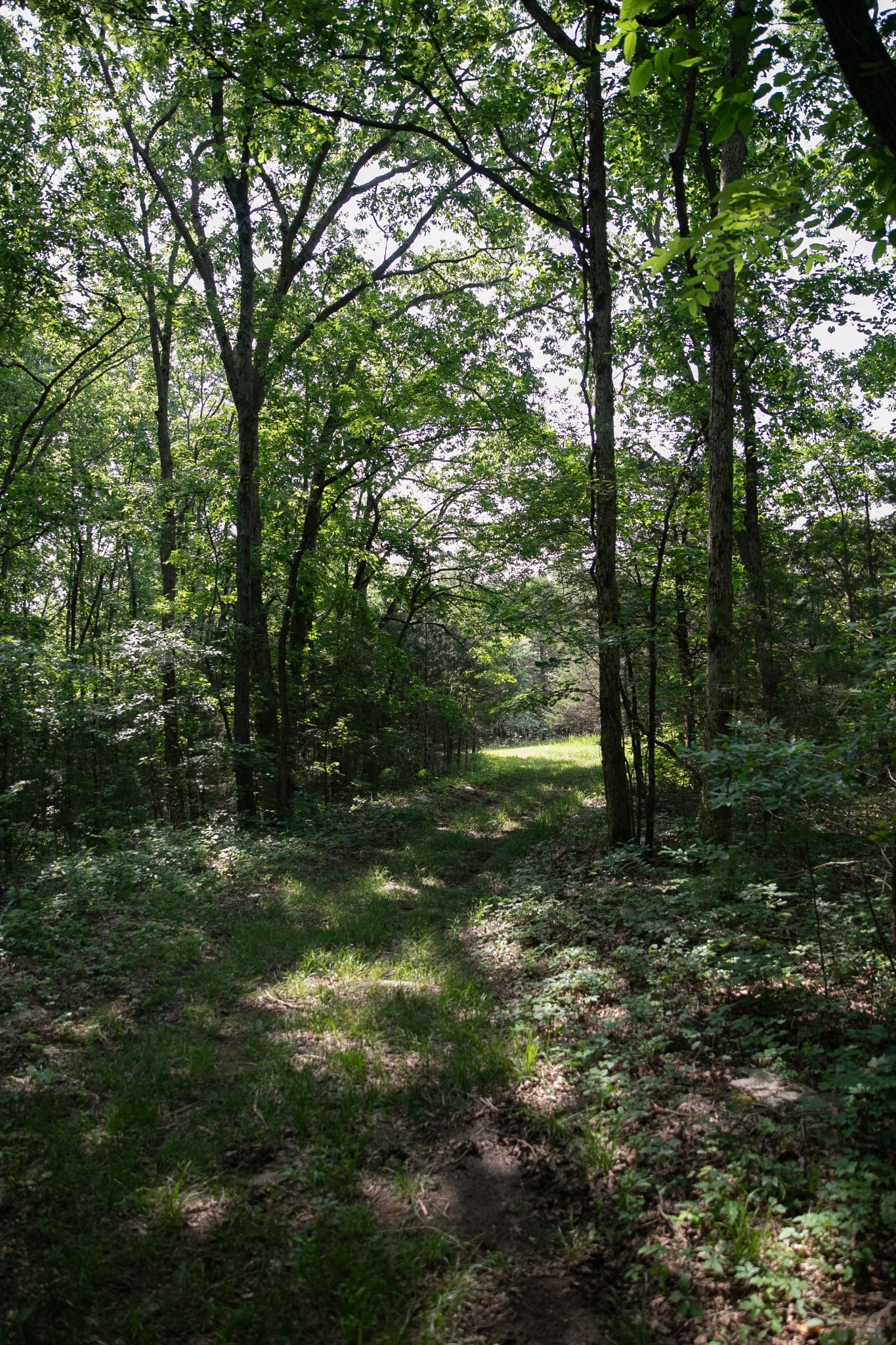 2825 Oregon Road Property Photo 23