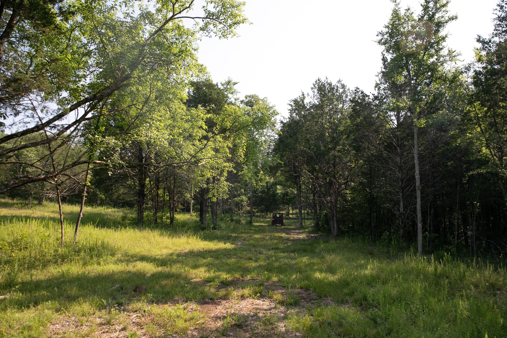2825 Oregon Road Property Photo 43