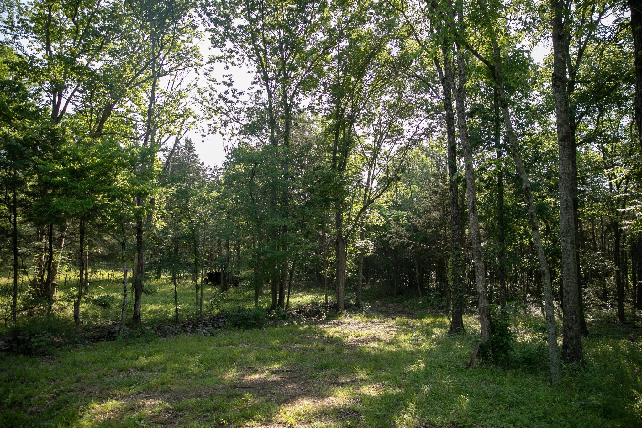 2825 Oregon Road Property Photo 54
