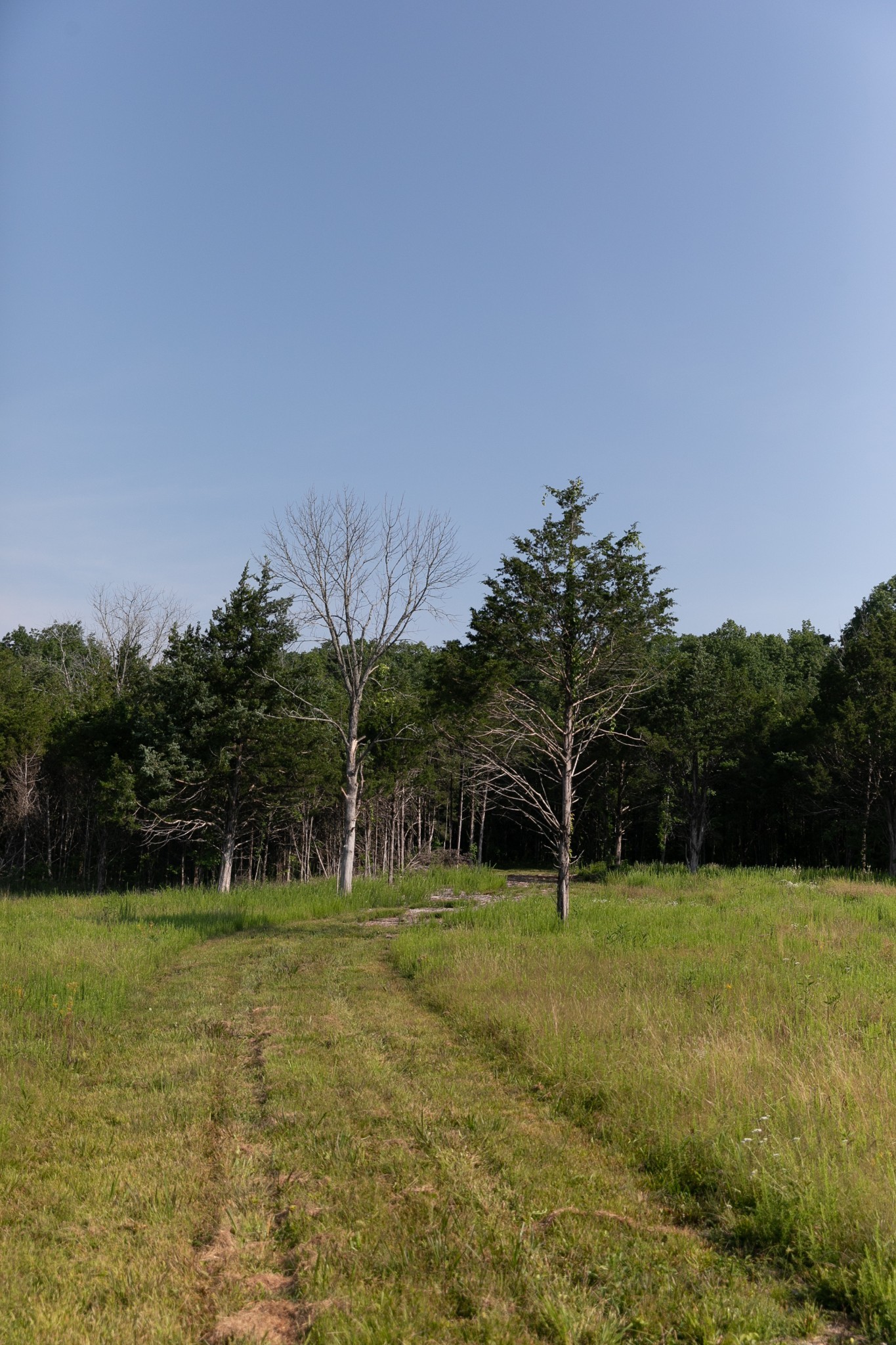2825 Oregon Road Property Photo 56