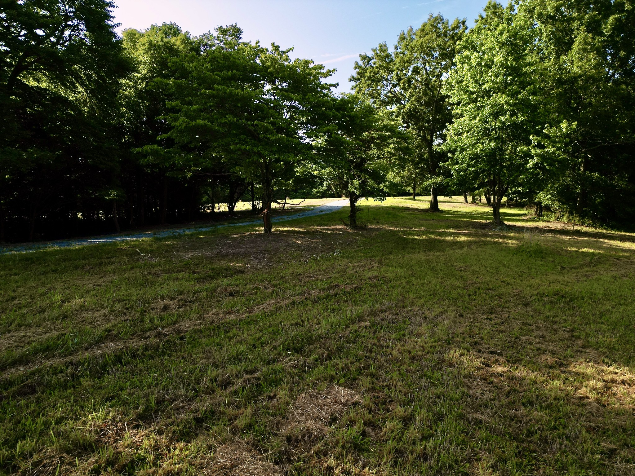 0 Morgan Road Property Photo 8