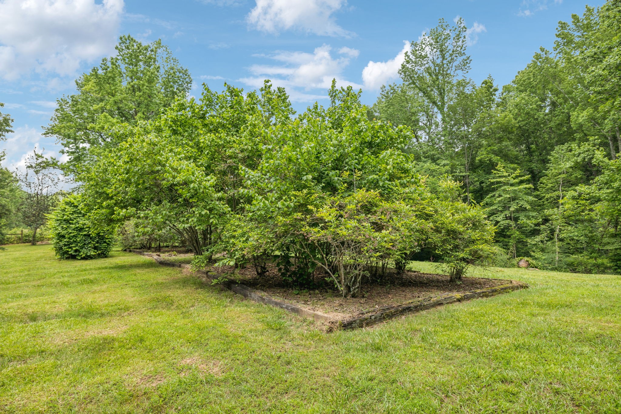 196 Moore Rd Property Photo 16