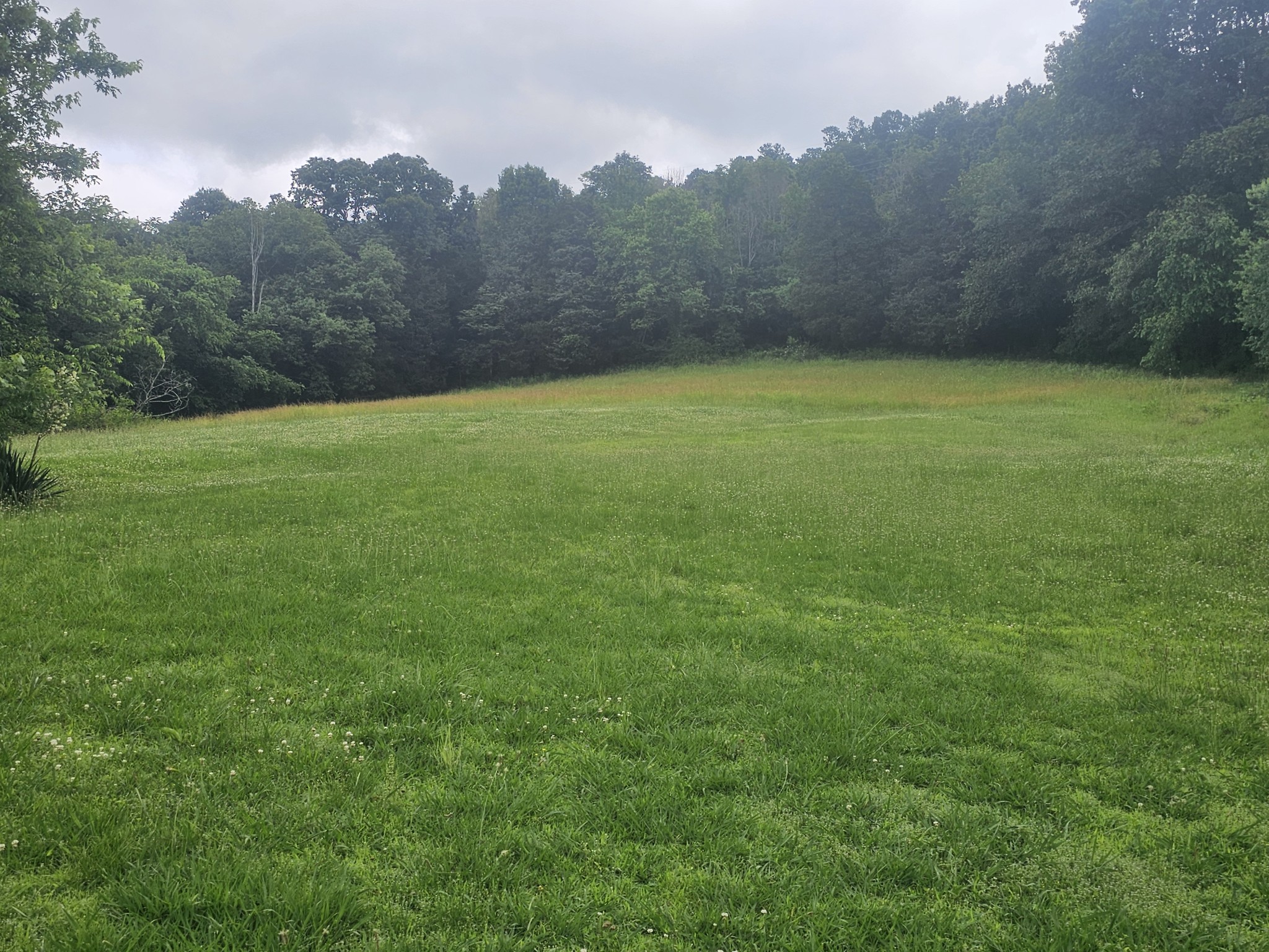 256 Hartsville Pike Property Photo 43