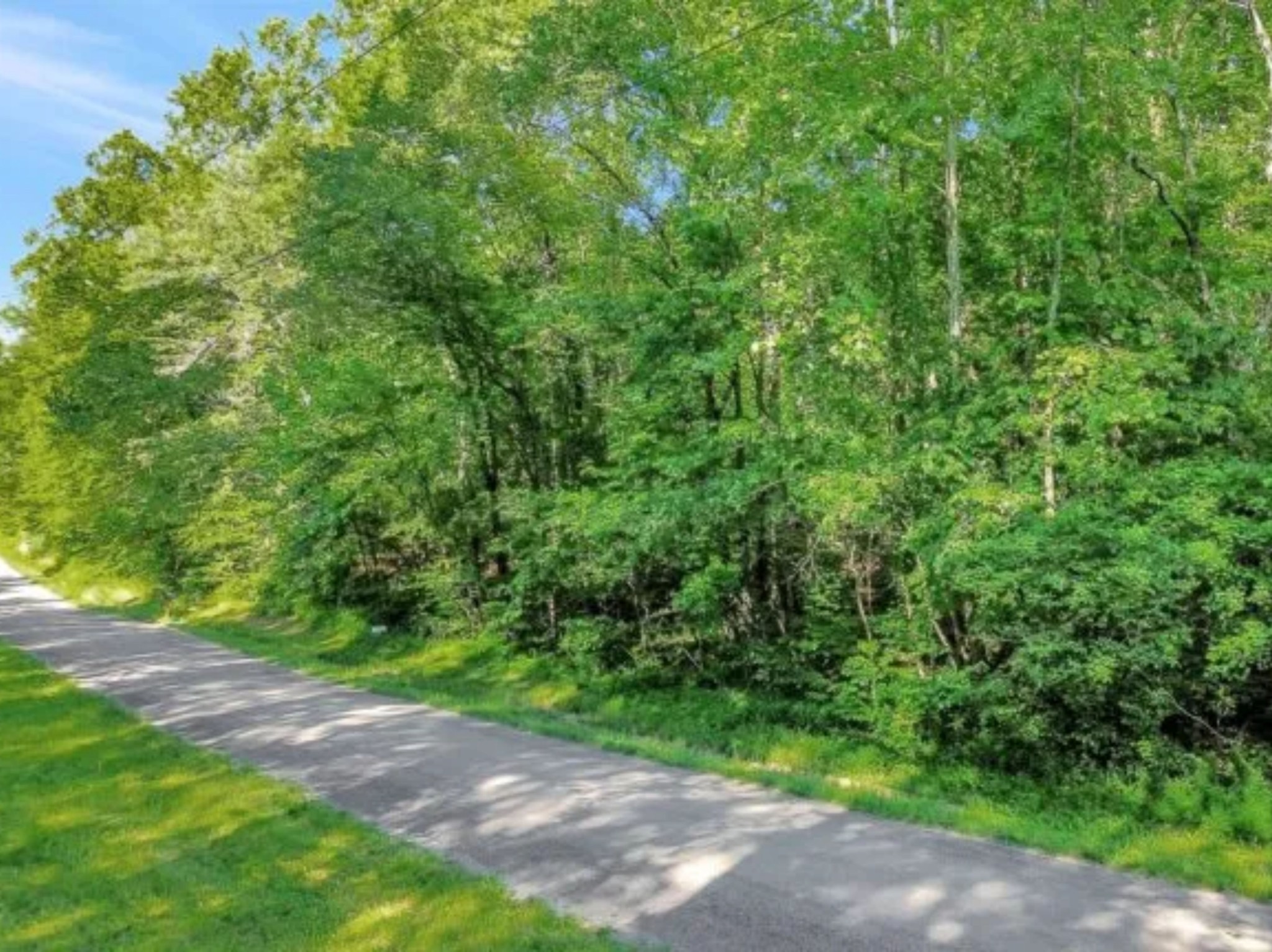 0 Brush Creek Rd Property Photo 2