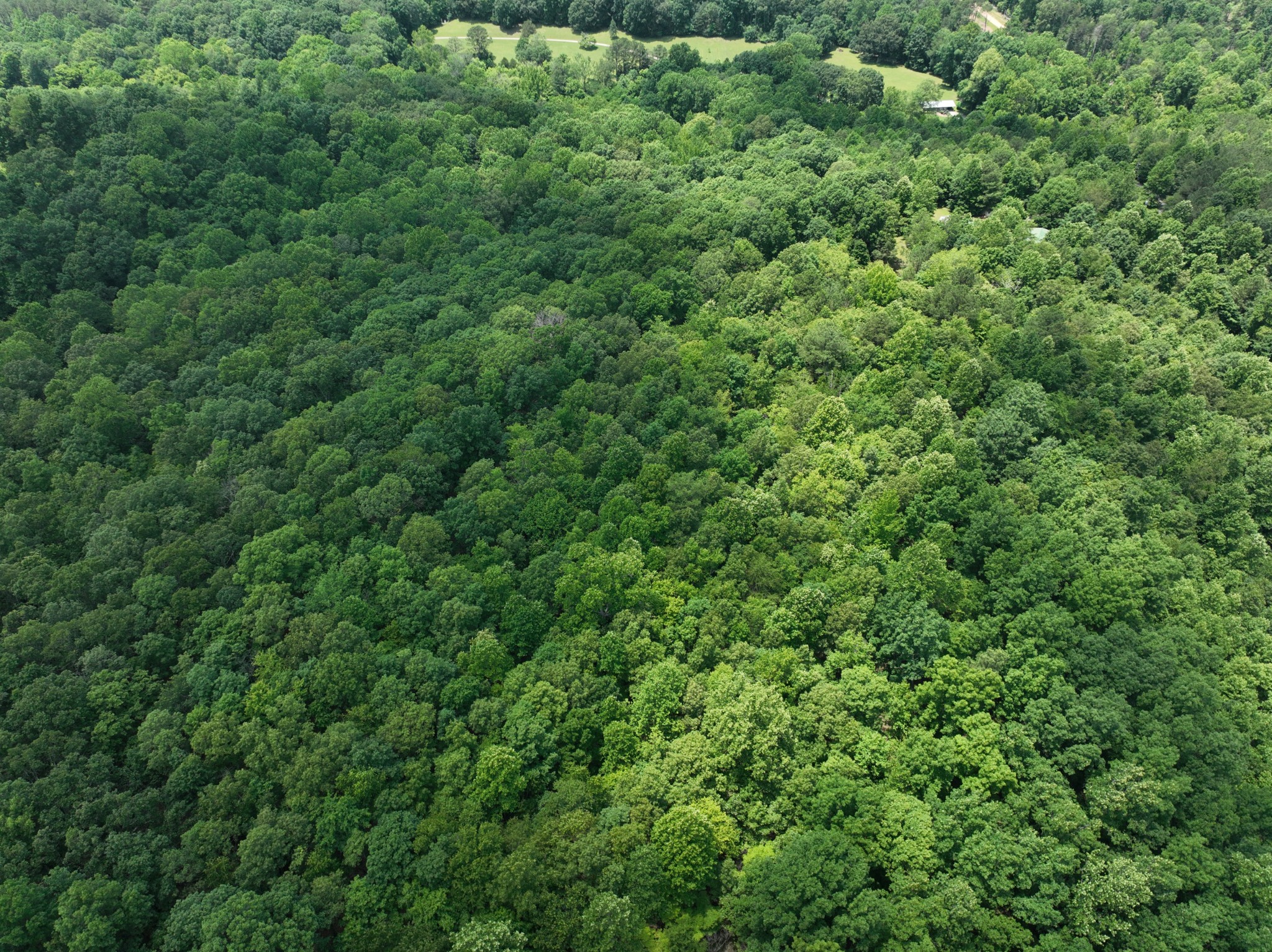 0 Brush Creek Rd Property Photo 11