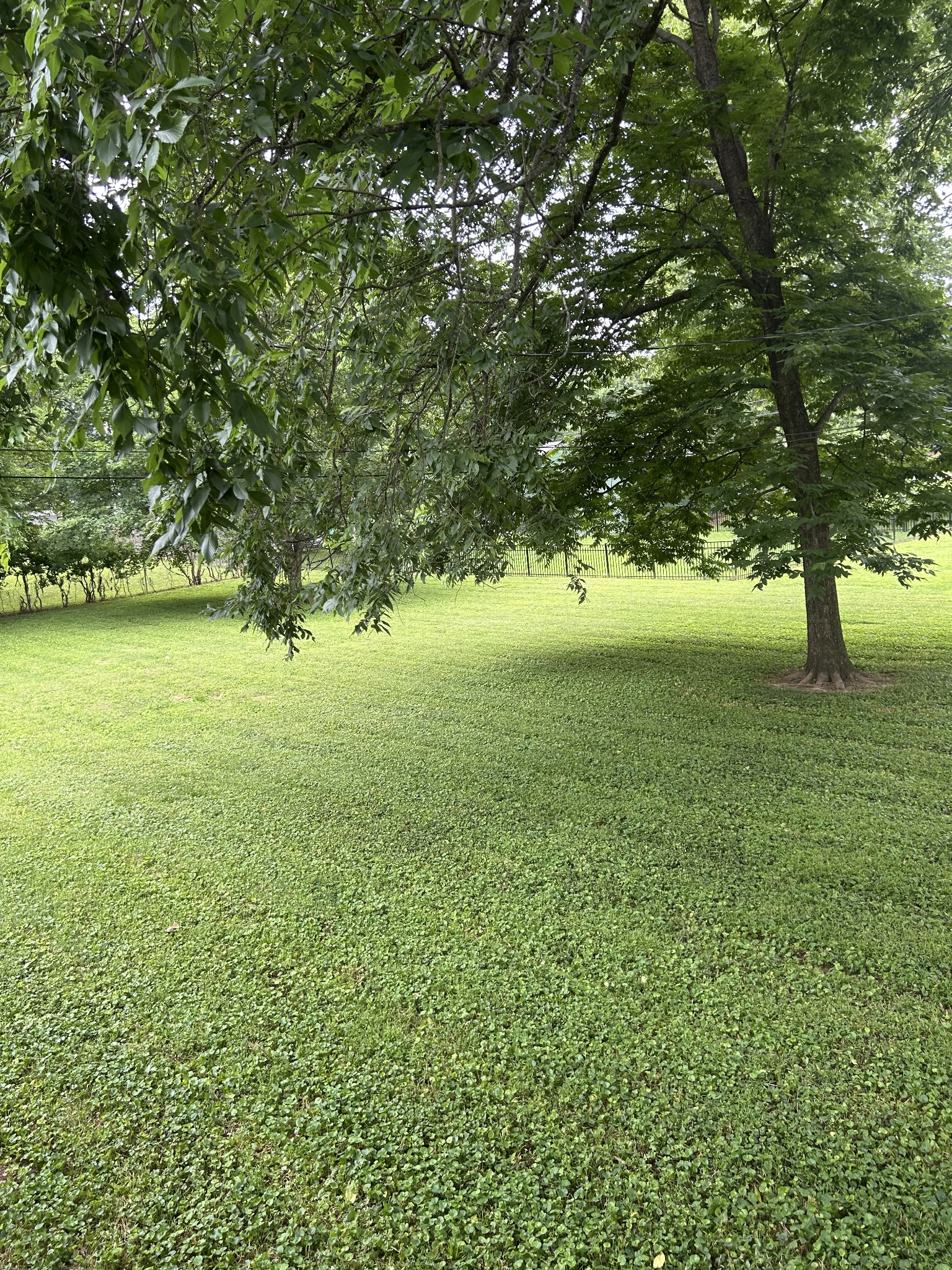 1102 Manor Rd Property Photo 12