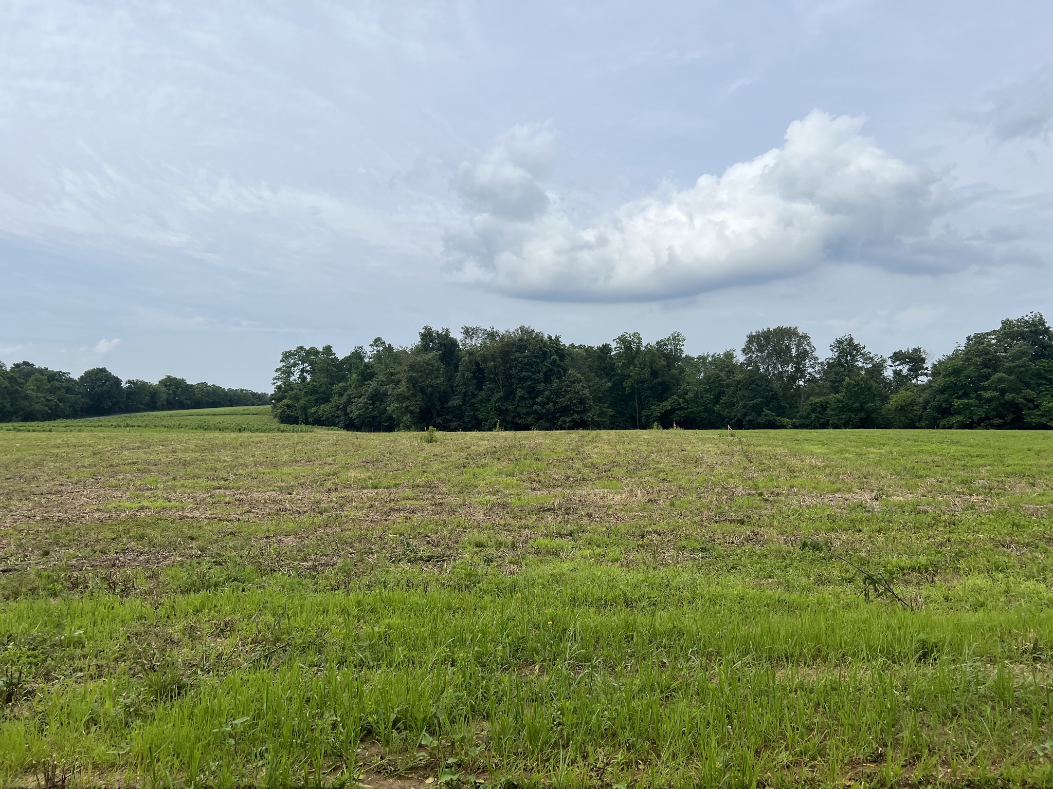 19 Annie Hollow Rd Property Photo