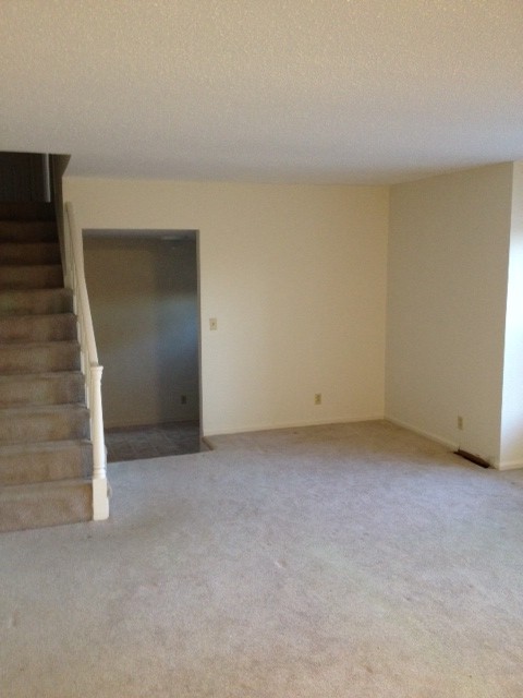 1002 Sunny Hill Rd Property Photo 10