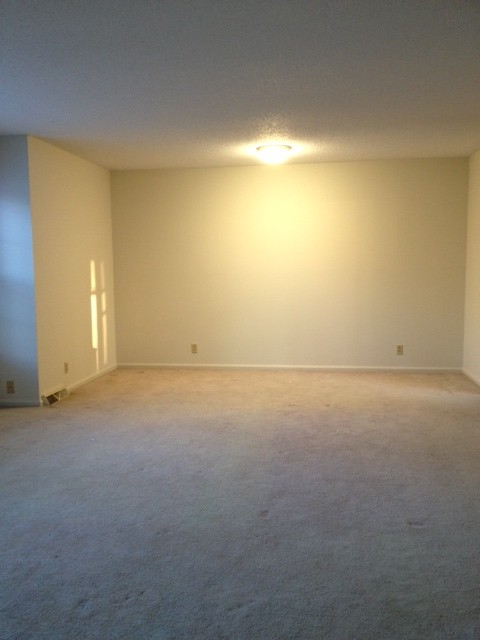 1002 Sunny Hill Rd Property Photo 11
