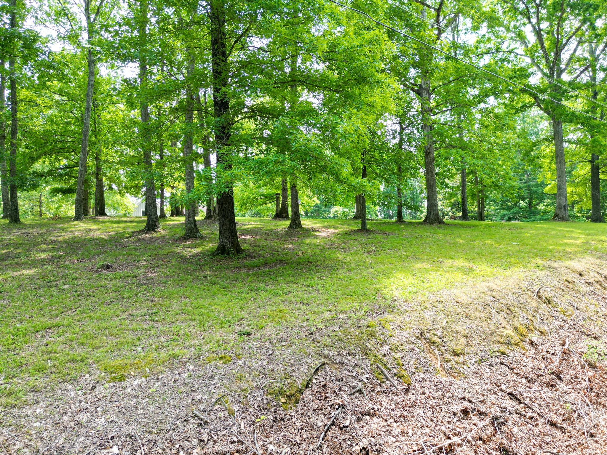 1006 Blackburn Ct Property Photo 47