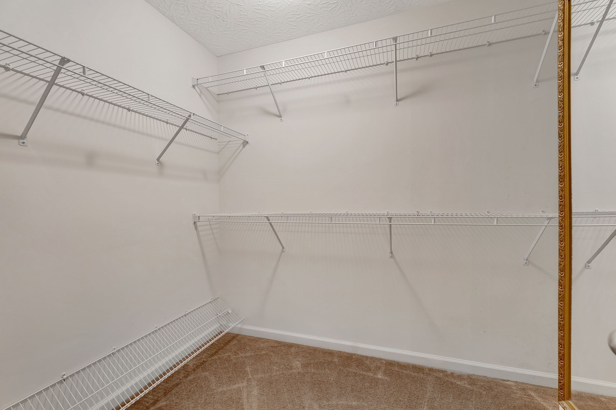 1023 Stonemark Trl Property Photo 19