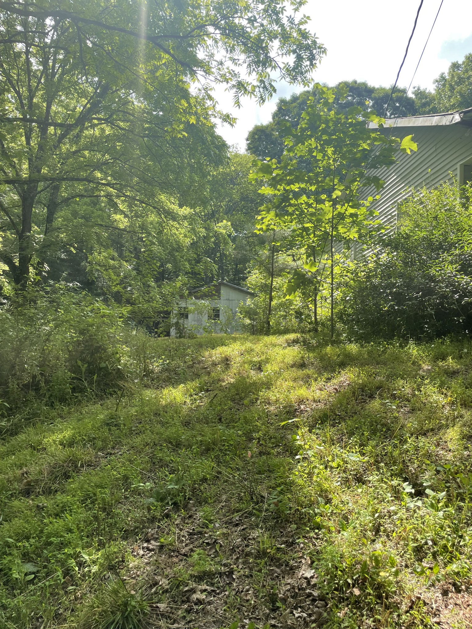 75 Hughes Hollow Rd Property Photo 1