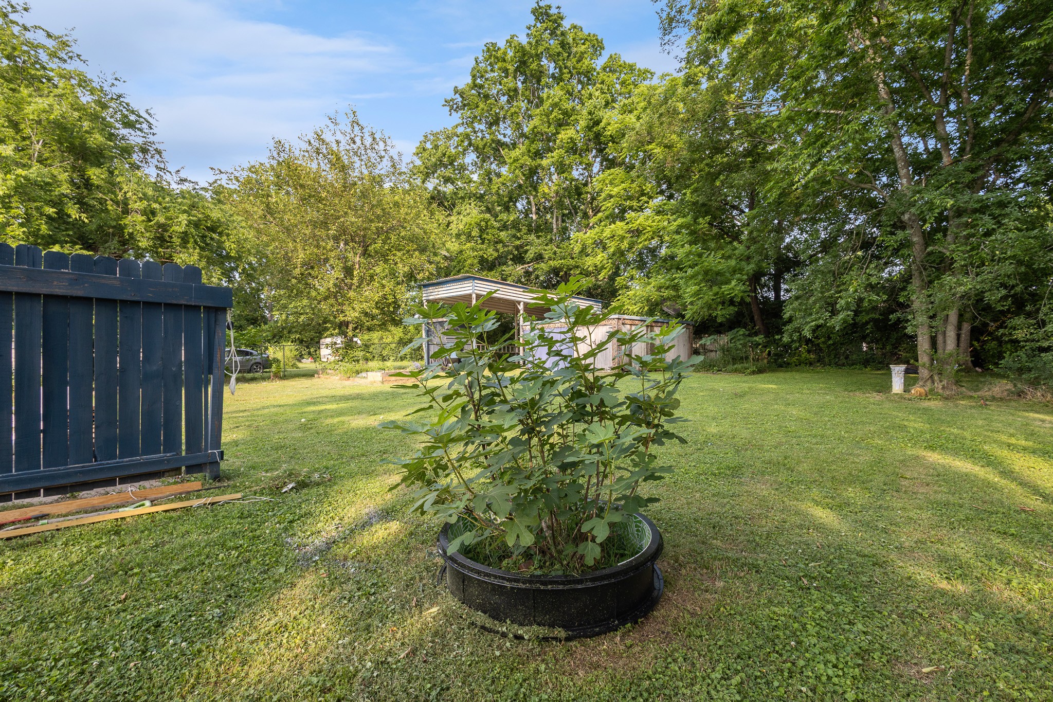 1812 Elizabeth Rd Property Photo 25