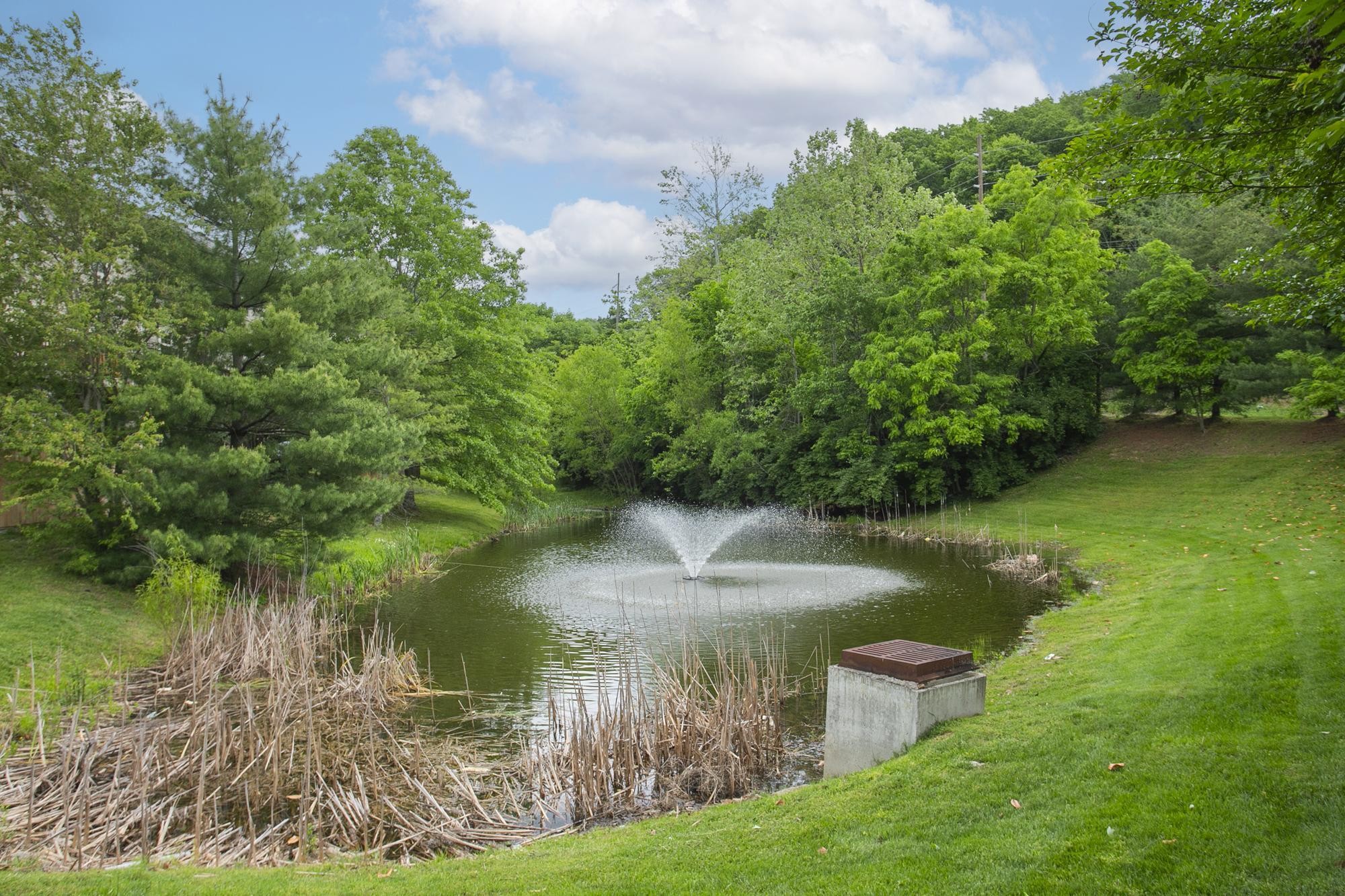 1040 Woodbury Falls Dr Property Photo 31