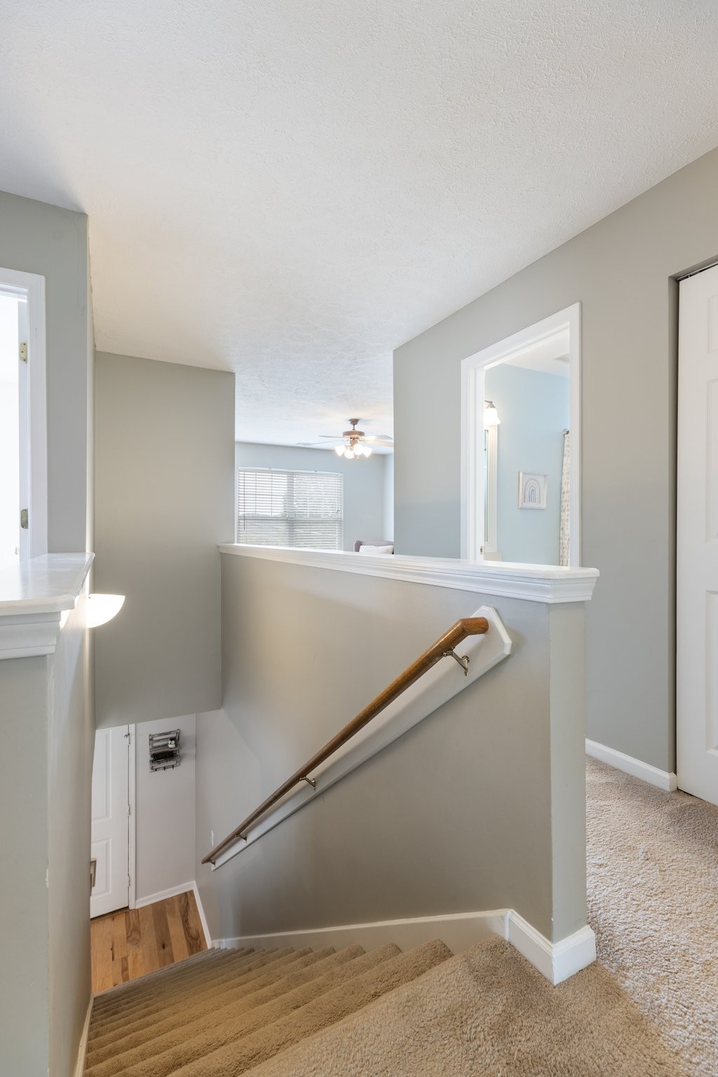 7104 Commonwealth Cir Property Photo 43