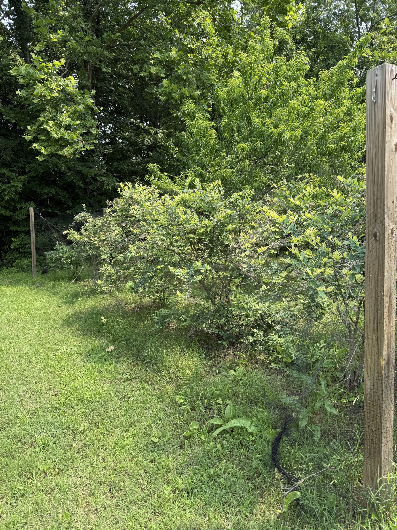 1231 Floyd Hudgens Rd Property Photo 44