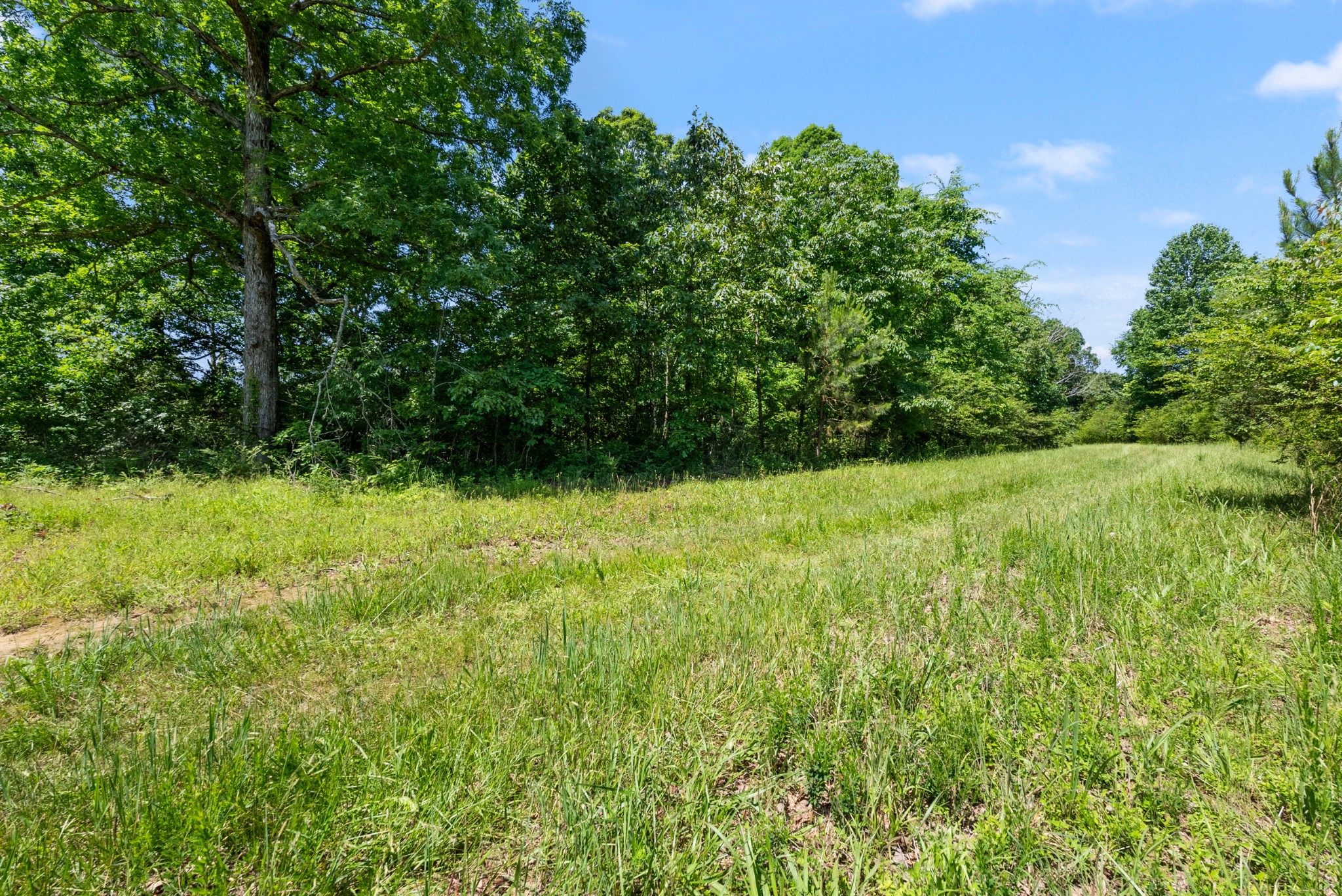 0 Highway 47 E Property Photo 6