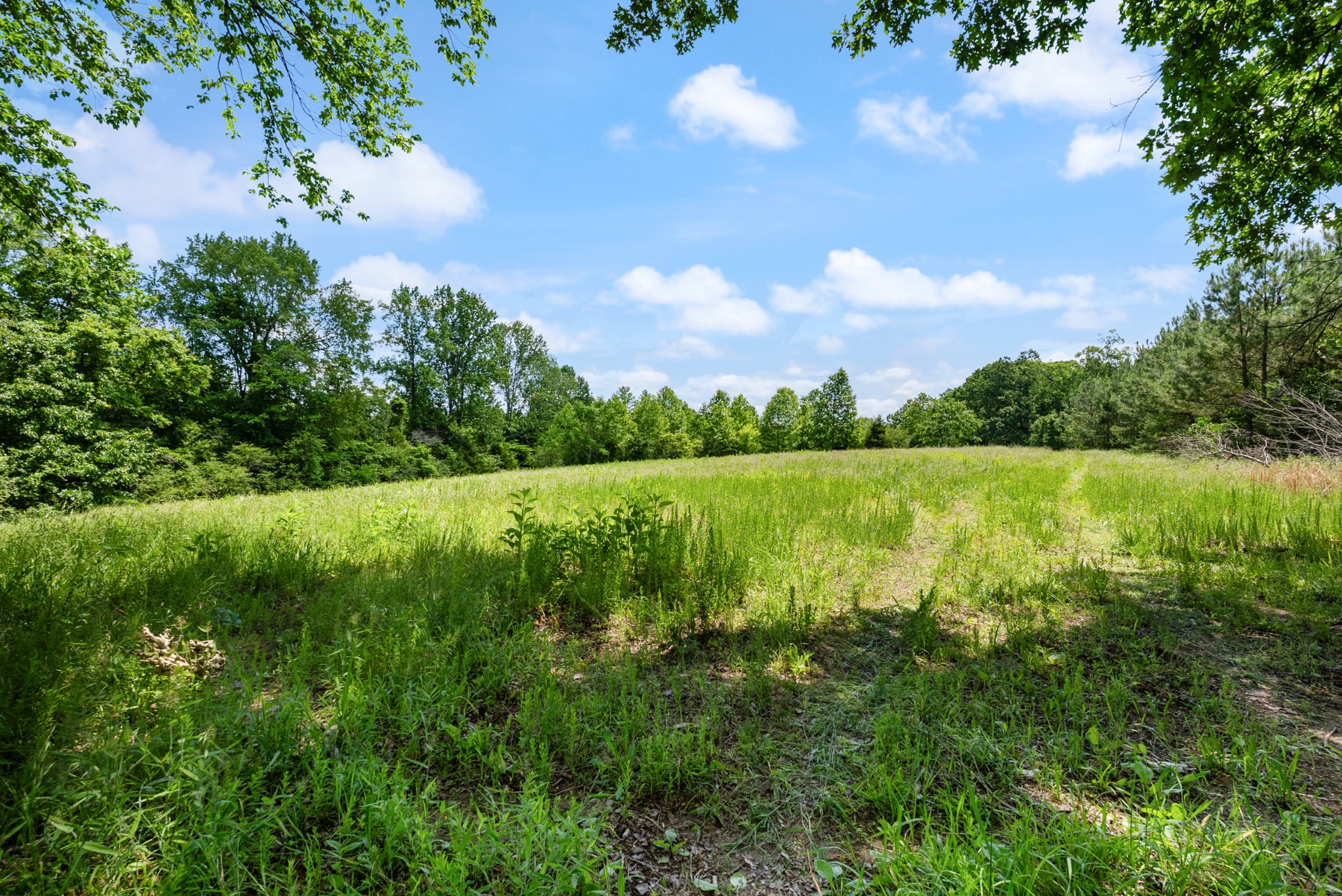 0 Highway 47 E Property Photo 8