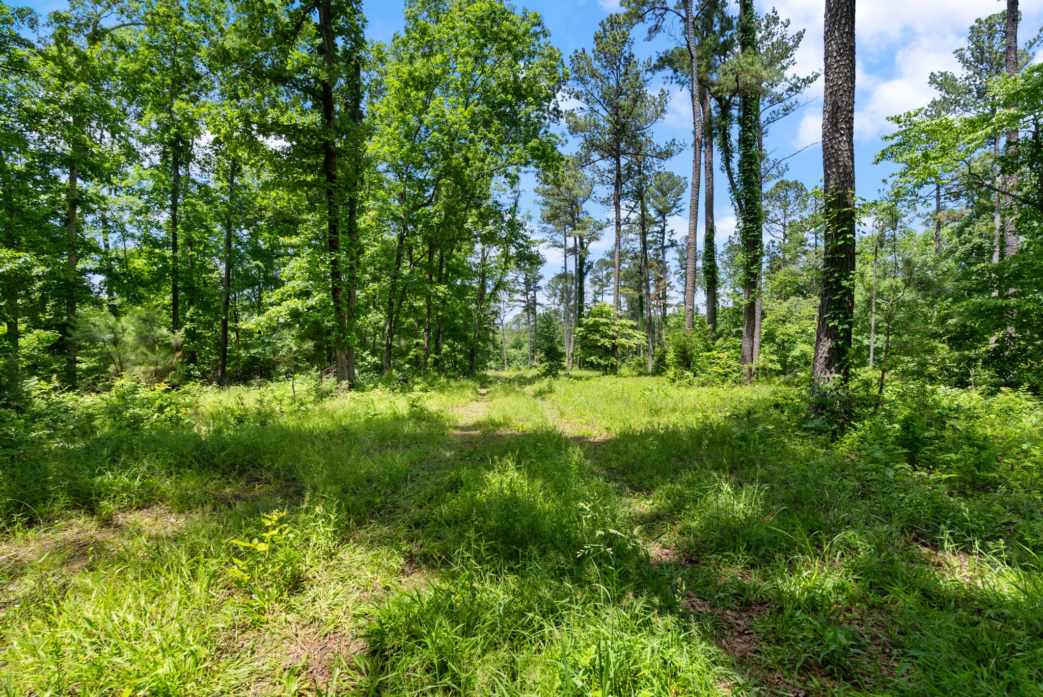 0 Highway 47 E Property Photo 26