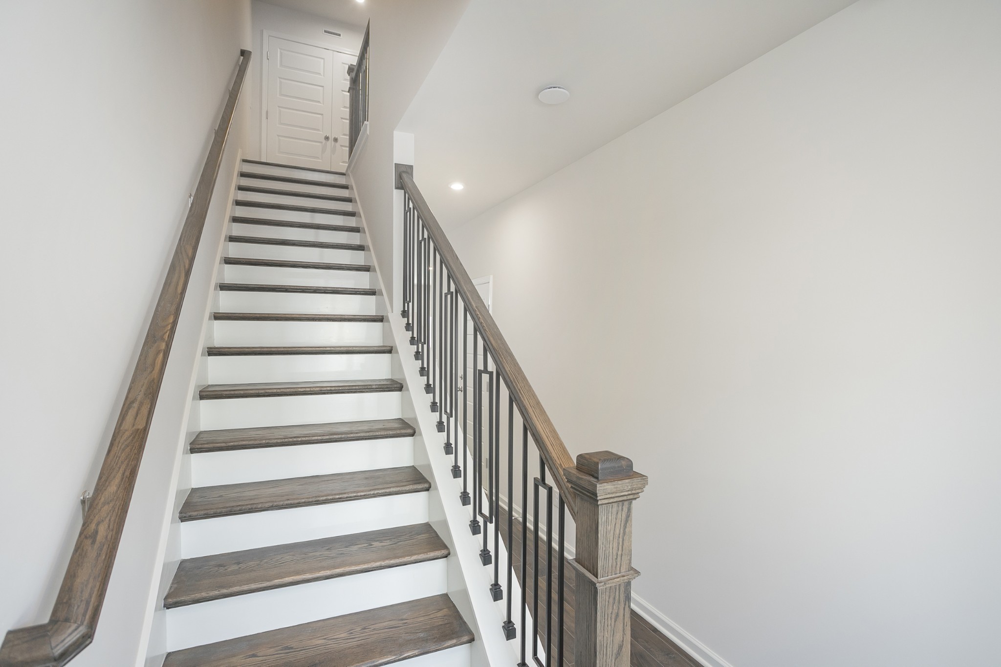 5046 Dayflower Drive Property Photo 21
