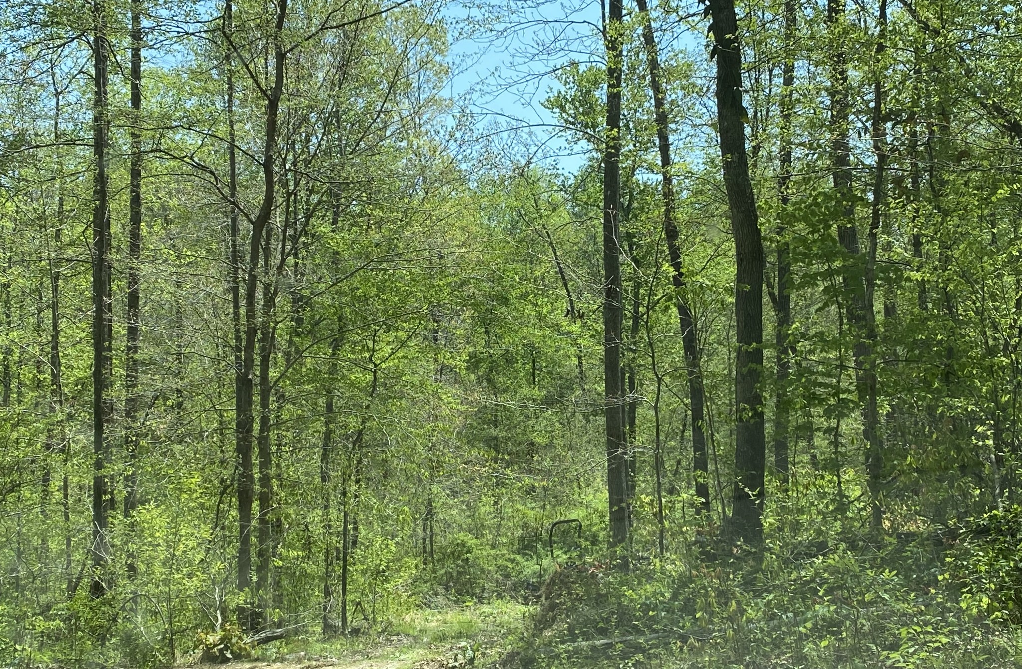 0 Day Cemetery Lane Property Photo