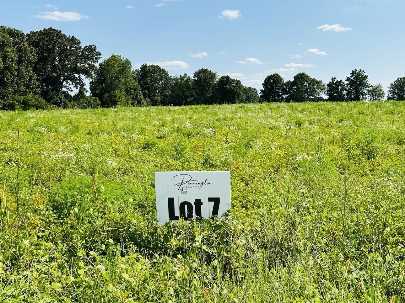 370 Dugout Road Property Photo 3