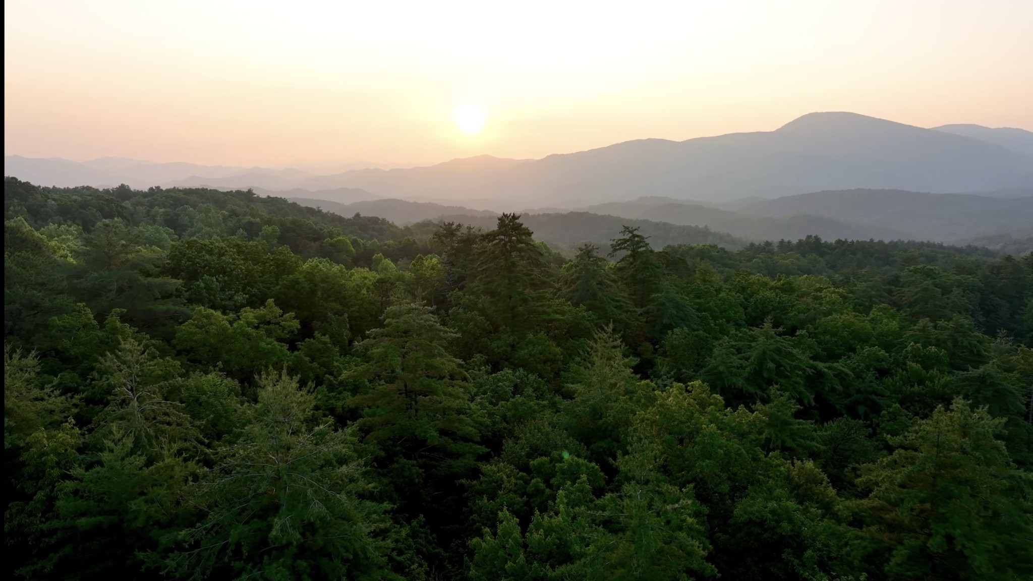 1 Ridge Hollow Rd