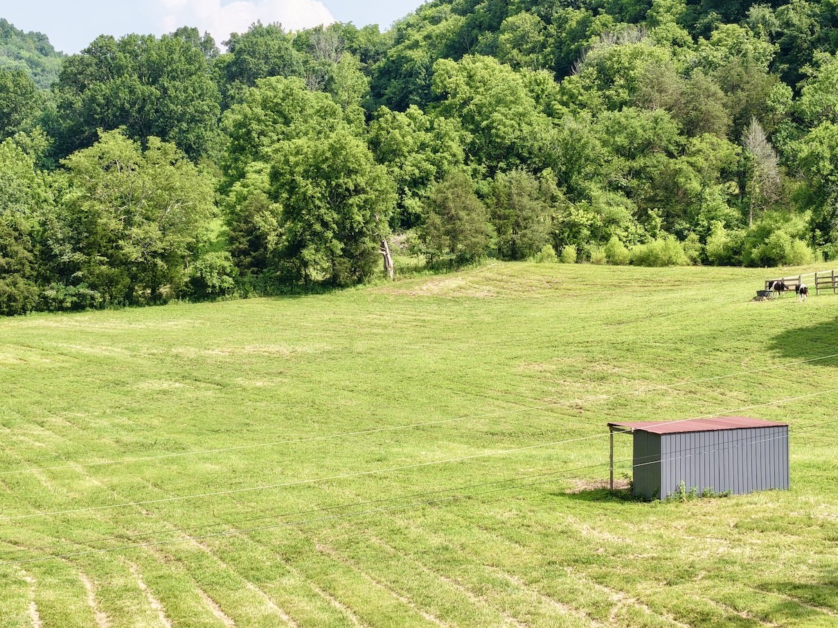 161 Fowler Rd Property Photo 14