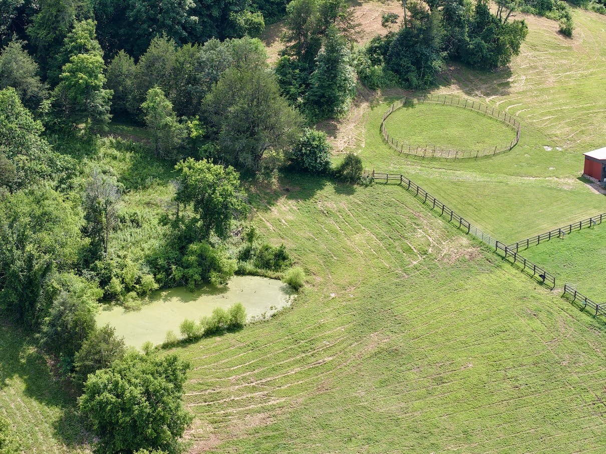 161 Fowler Rd Property Photo 16